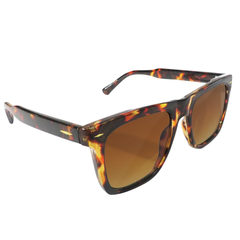Hillman Women's Polarized Brown Plastic Sunglasses in the Sunglasses ...