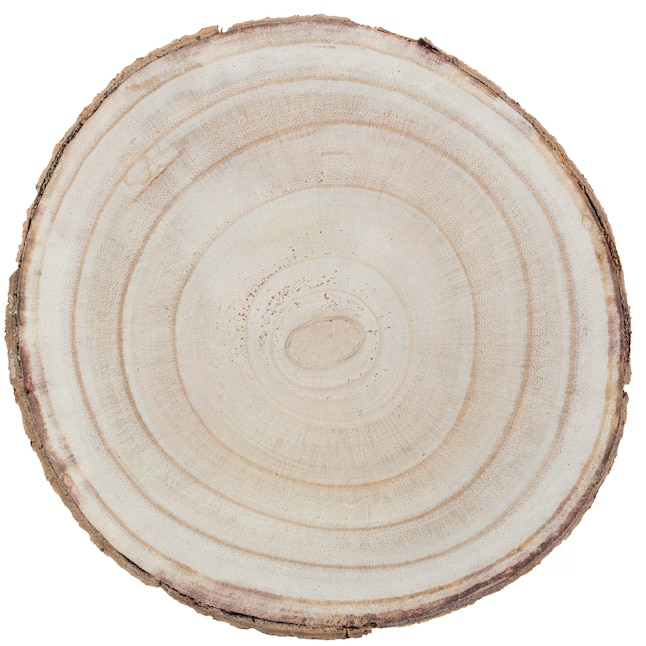 PINGEUI 6 Piece 9-10 inch Natural Wood Slices, Unfinished Natural Wood Tree Slices with Bark, Large Round Tree Wood Discs Wooden Circles Tree Bark