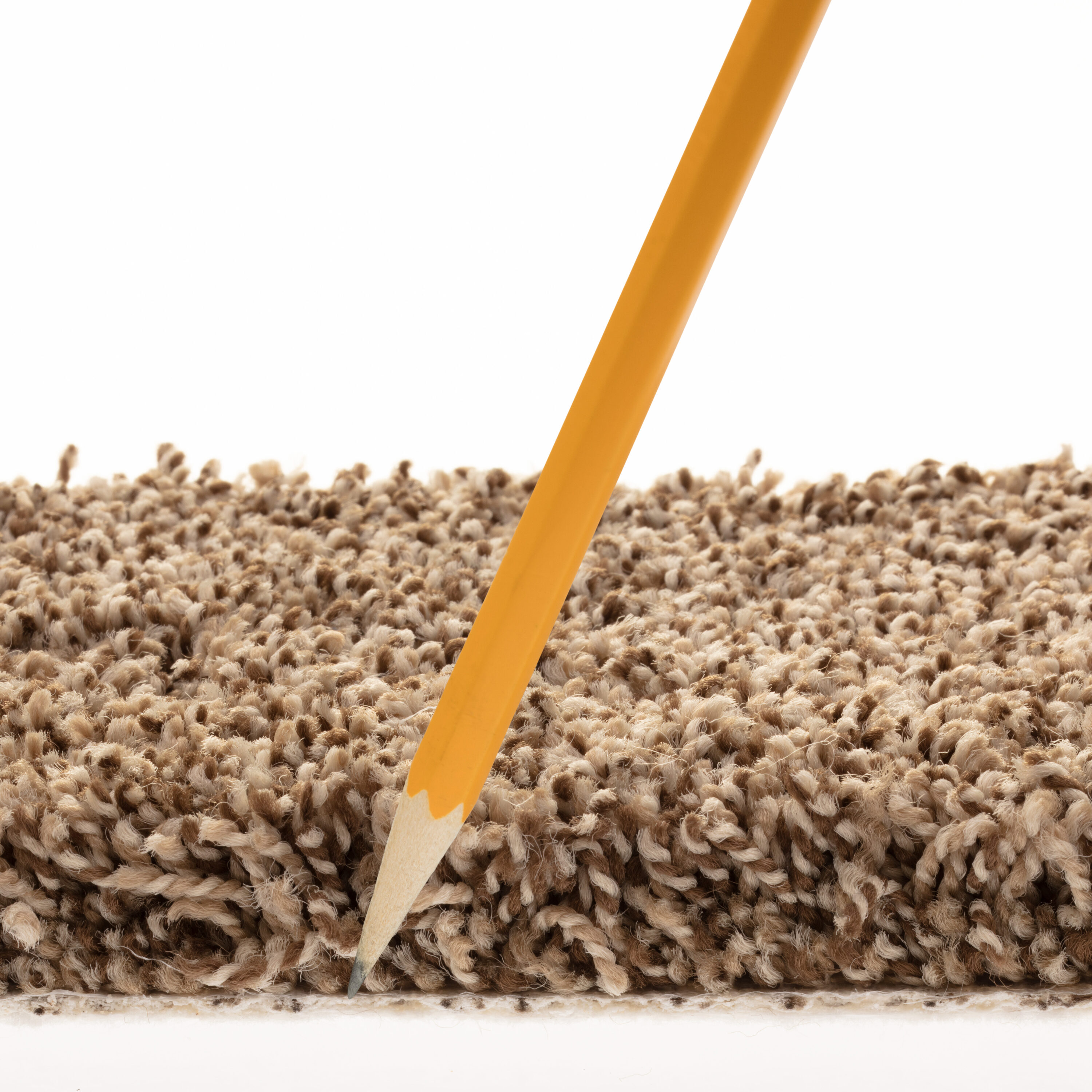 STAINMASTER PetProtect 7L858 - 716 - SAMP Carpet-Samples - View #8