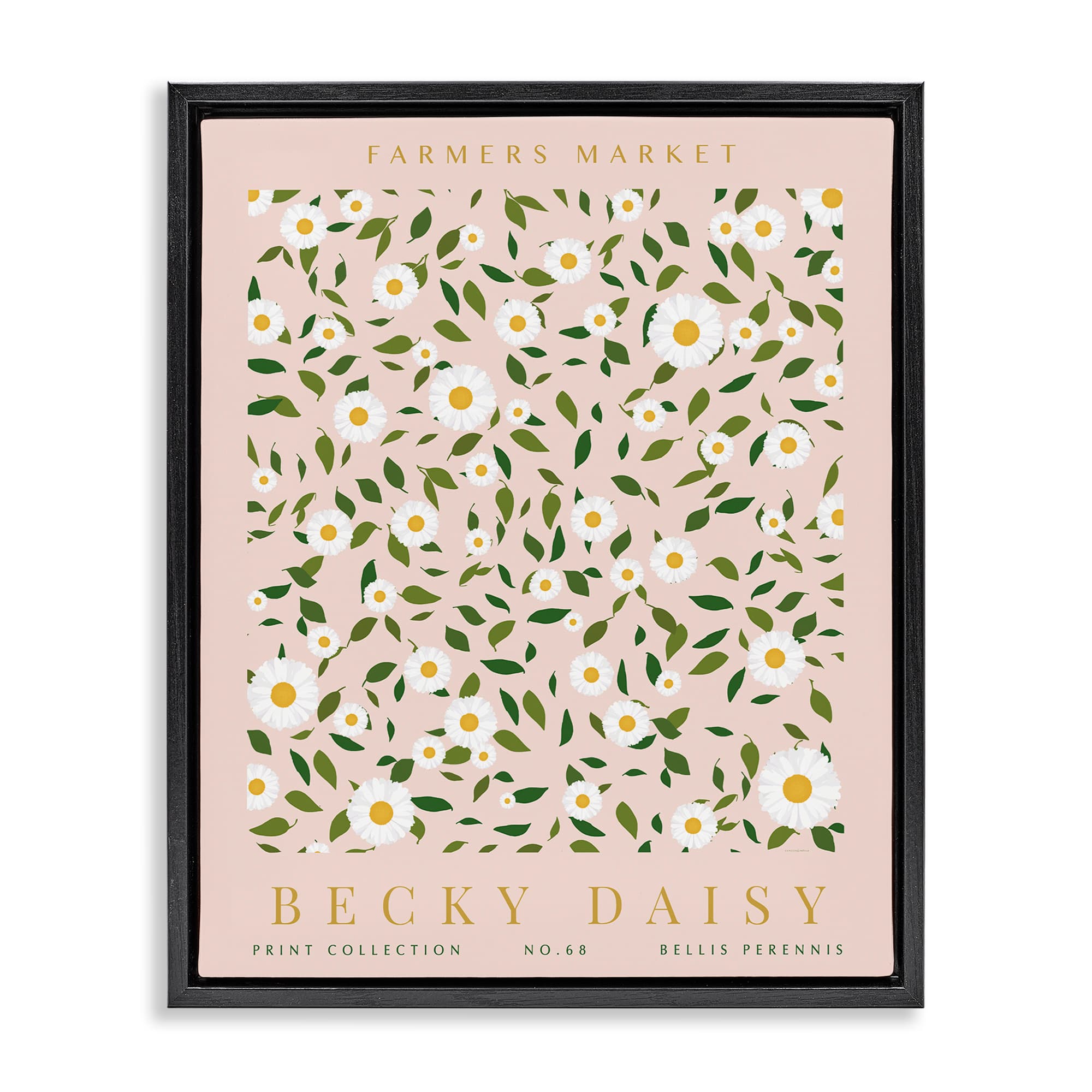 Stupell Industries BS-740-FFB-24X30 Minimal Pastel Daisies Black Framed Floater Canvas Wall Art By Kamdon Kreations 25 x 31