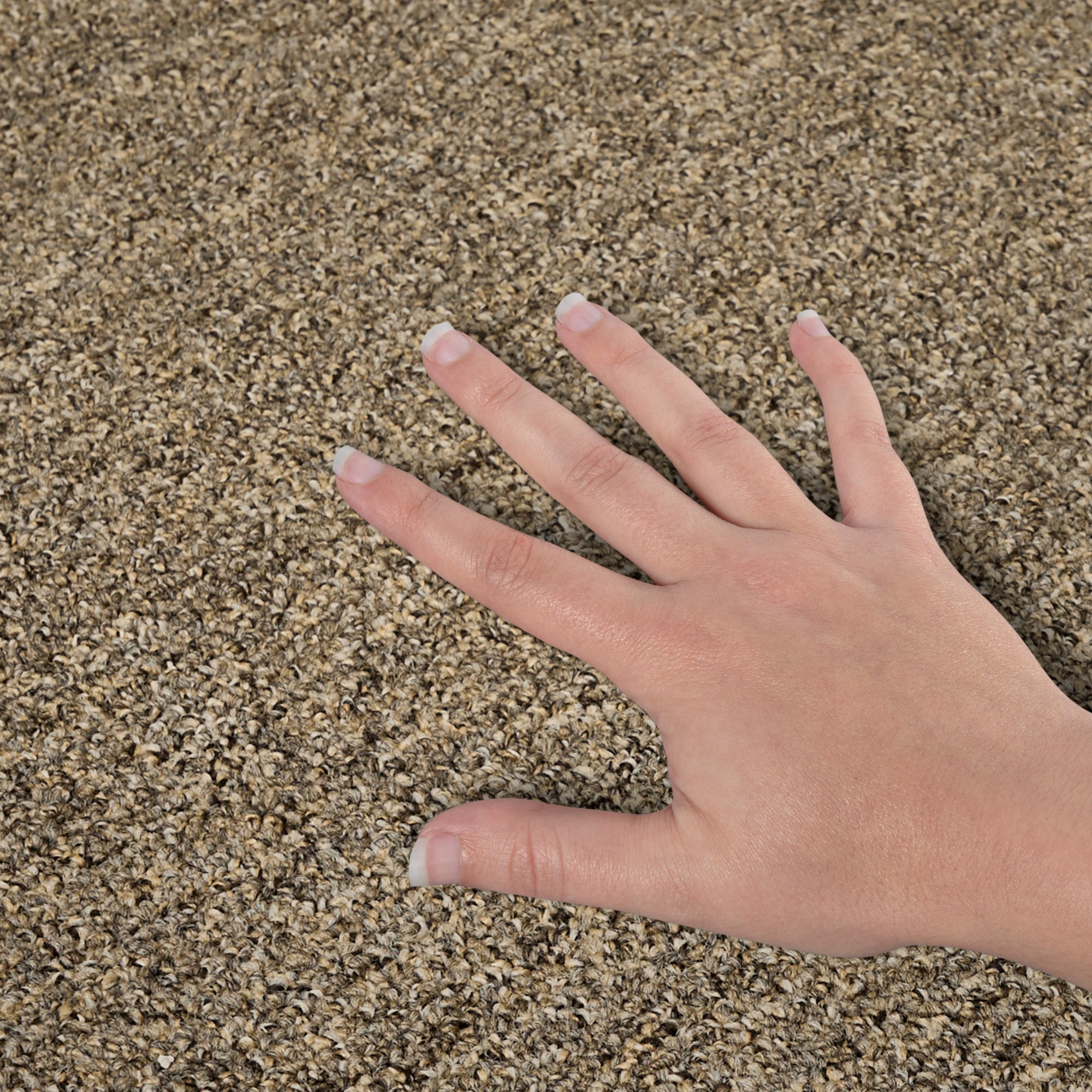 Mohawk LC77-L002-0808 Carpet-Samples - View #4
