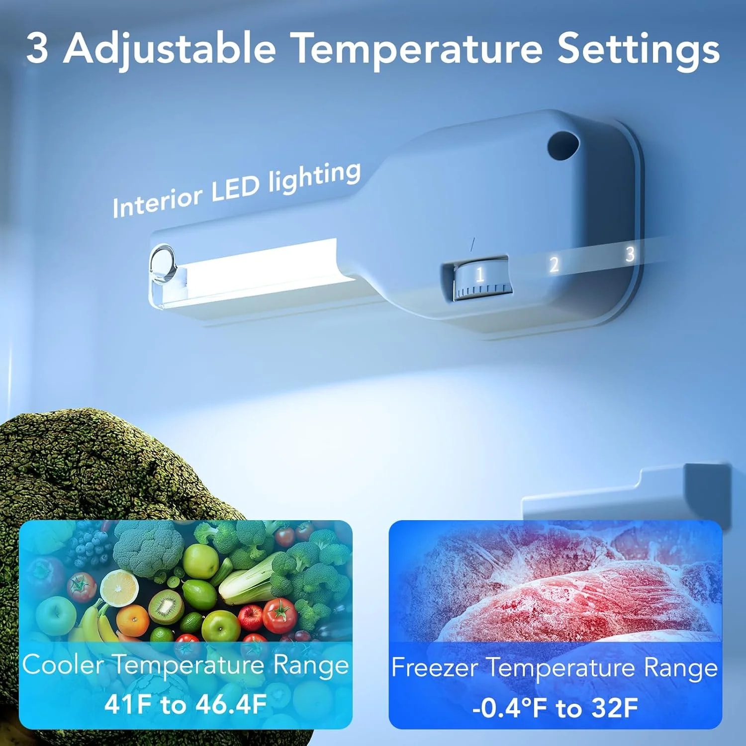 Antarctic Star F5887-WHITE m050615 - View #4