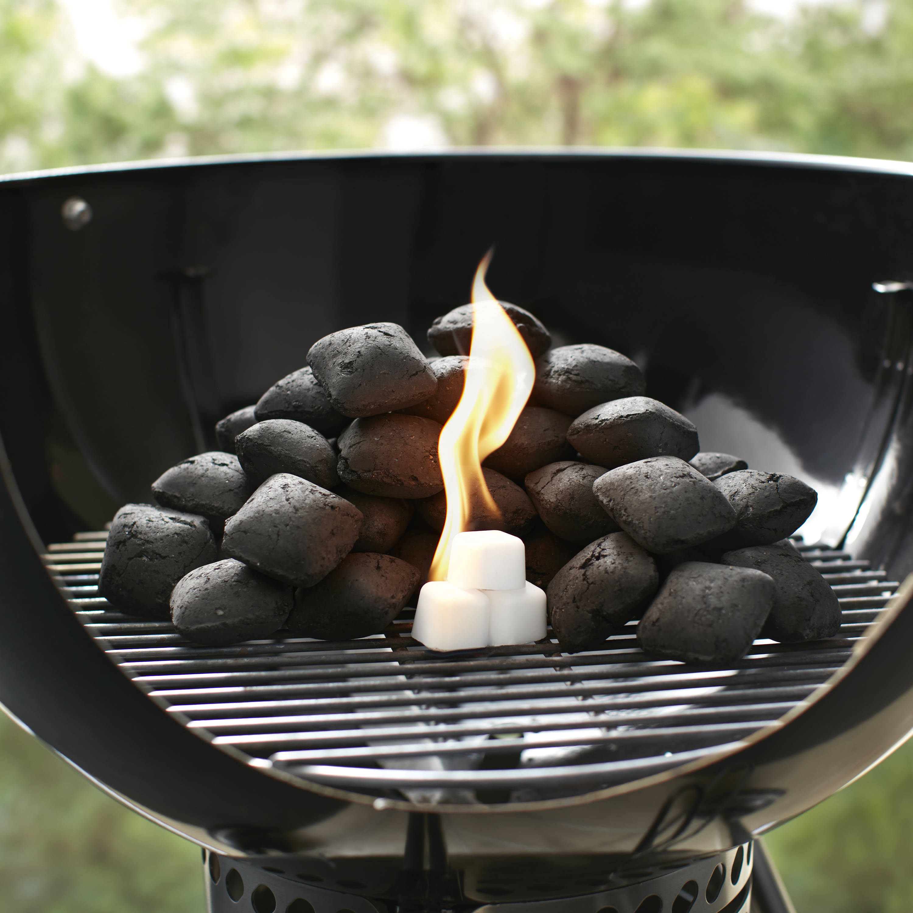 Weber Starter in the Charcoal & Accessories department at Lowes.com