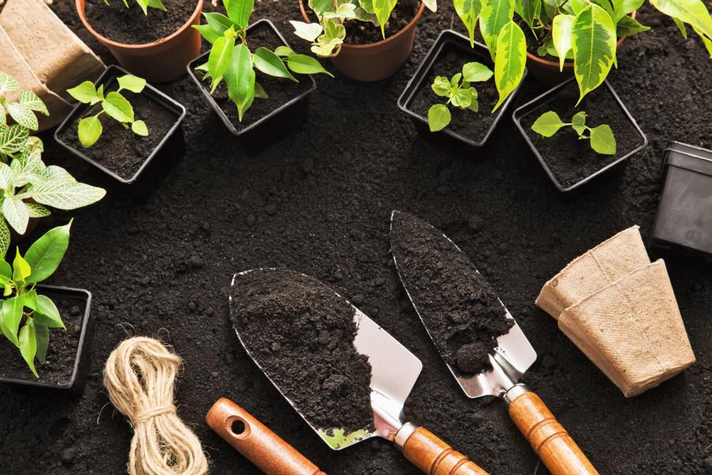 Black Kow 00051524602218 Garden-Soil-Soil-Amendments - View #5