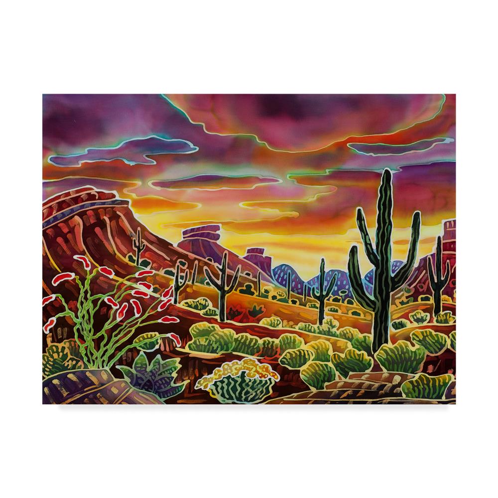 Trademark Fine Art ALI35690-C1419GG Framed 14-in H x 19-in W Landscape Print on Canvas