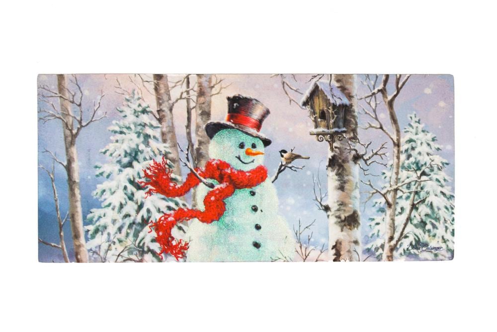 Evergreen 431140BL 2-ft x 3-ft Multi Polyester Rectangular Outdoor Decorative Winter Door mat