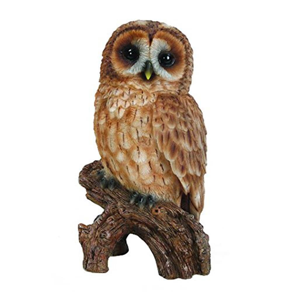 Hi-Line Gift 6.75-in H x 3.75-in W Brown Garden Statue in the Garden ...