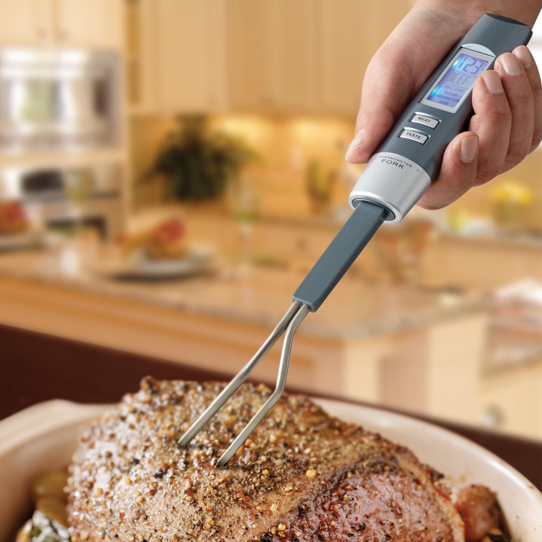 Bios Medical Digital Probe Meat Thermometer with Timer, Manual Temperature  Setting, and Temperature Alarm - Silver in the Meat Thermometers department  at