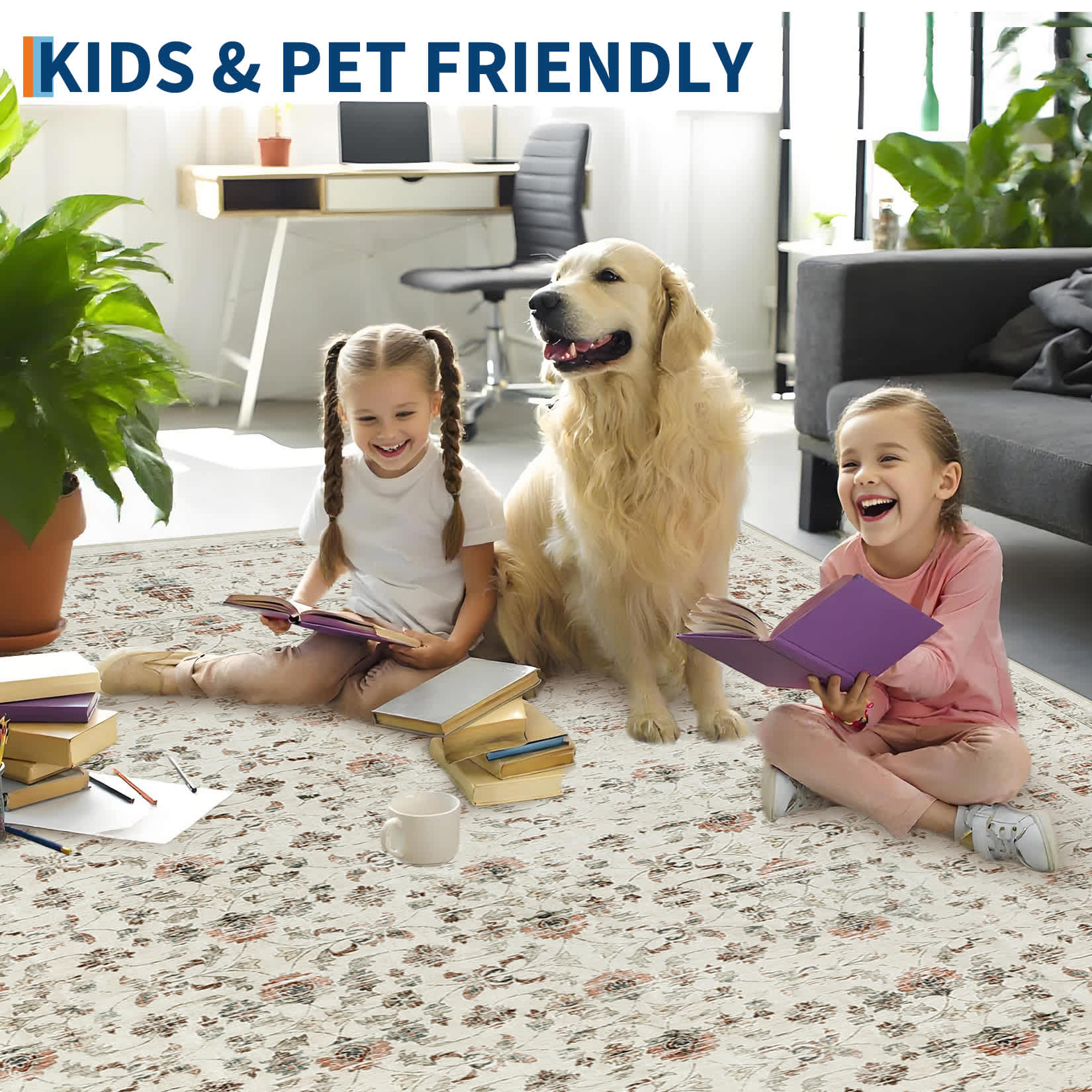 Qeetex SUNNY-PHK-365RJHLH rugs - View #6