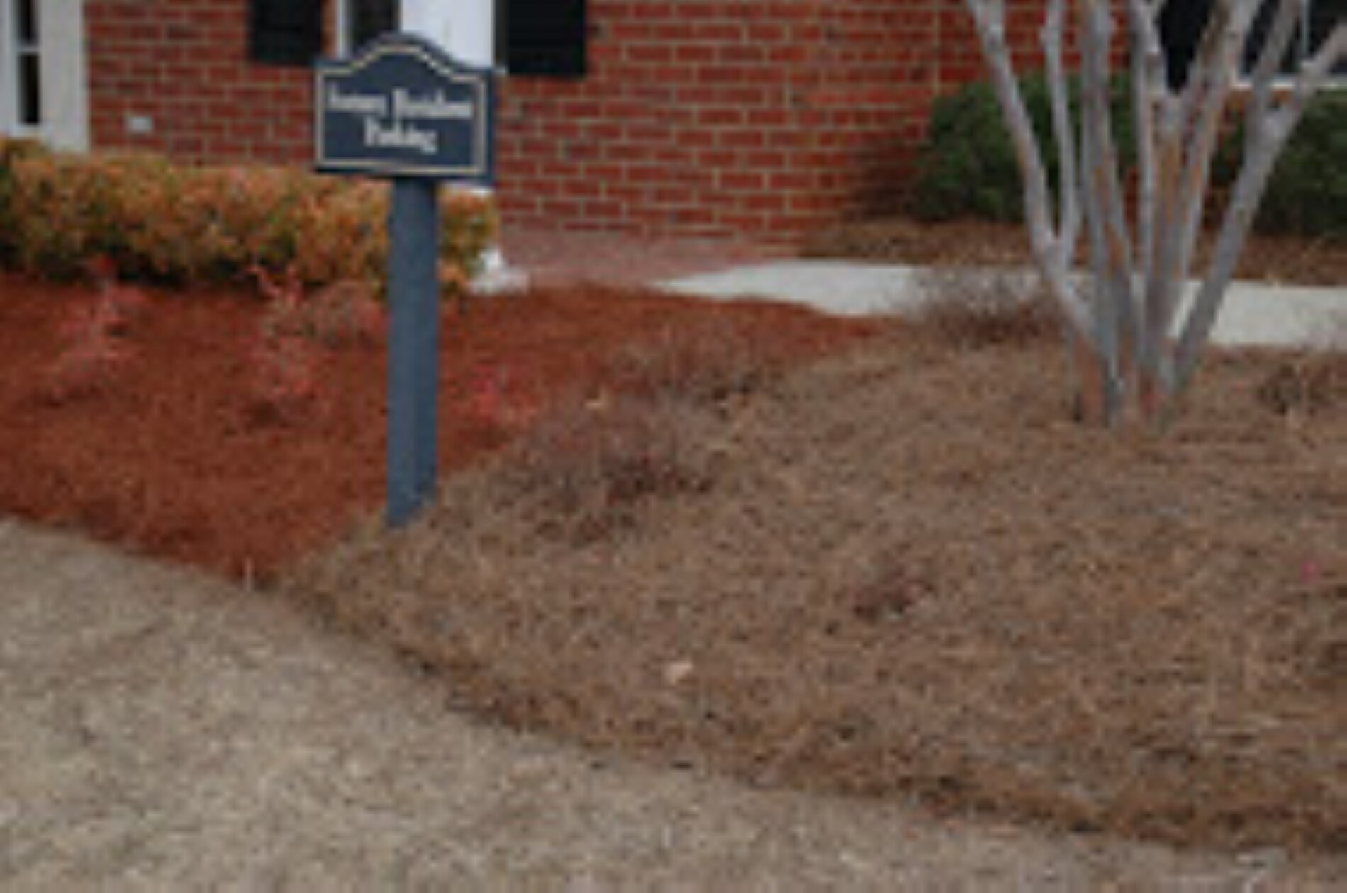 EnviroColor GP0032 Mulch-Dyes - View #8
