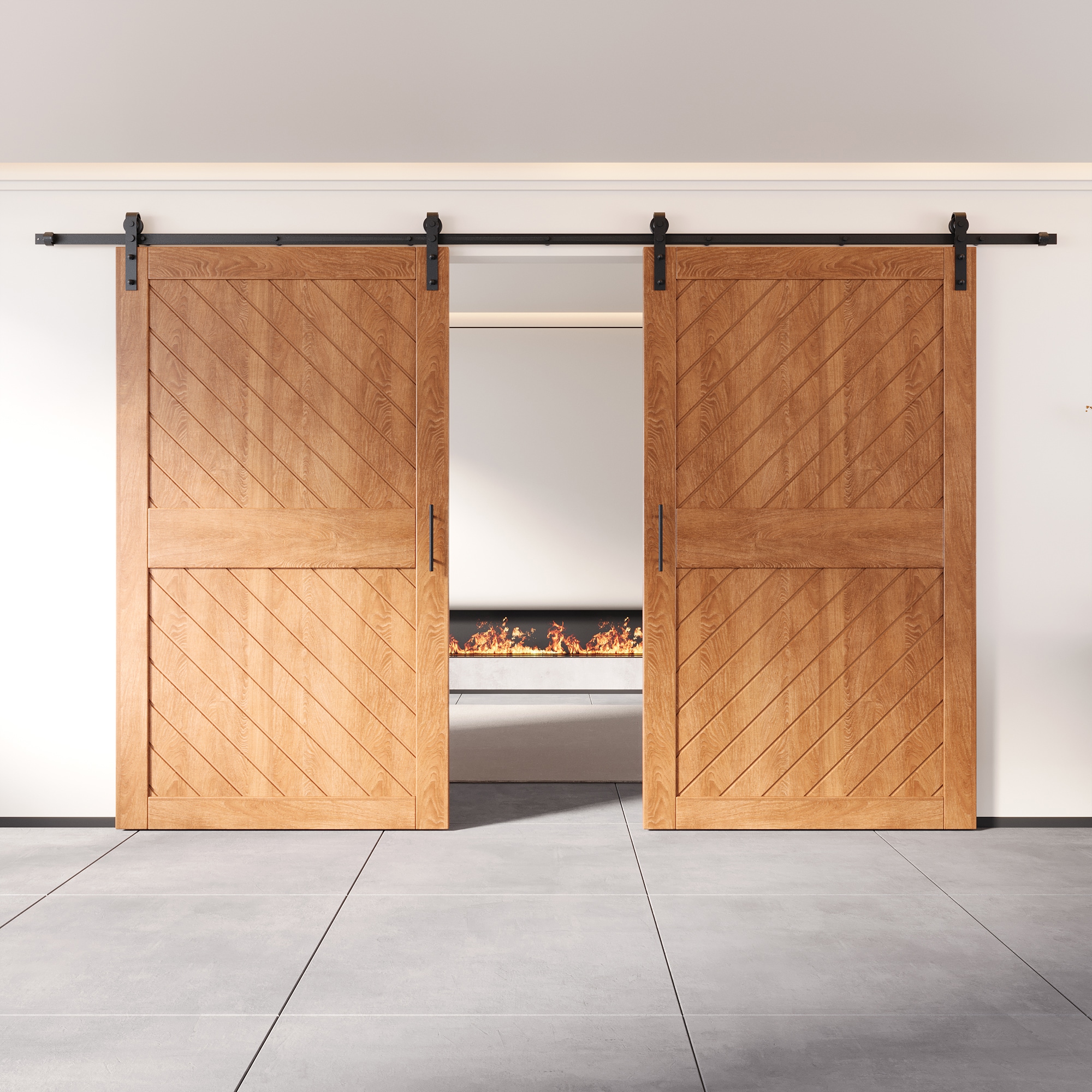 HOMACER YT2H216C-XT2-5084-EA Barn-Doors - View #8