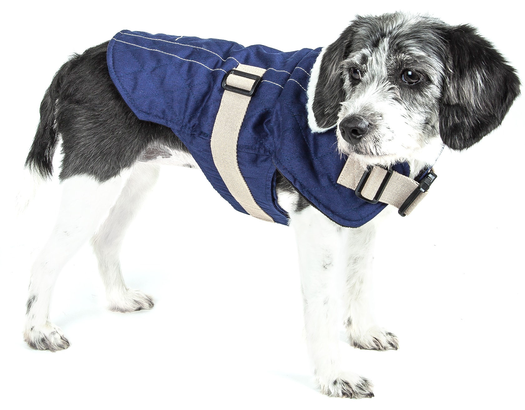 Touchdog Original Sherpa-Bark Designer Fashion-Forward Dog Coat, Royal ...