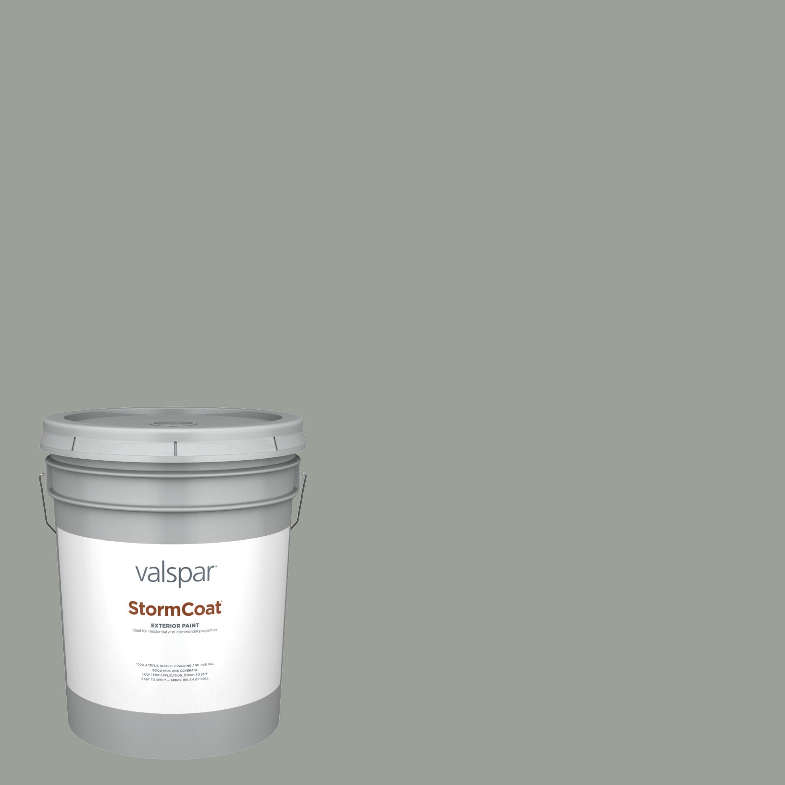 Valspar 5005-2A-148692 Storm Coat Semi-gloss Secret Moss 5005-2A Latex Exterior ( 5-gallon )