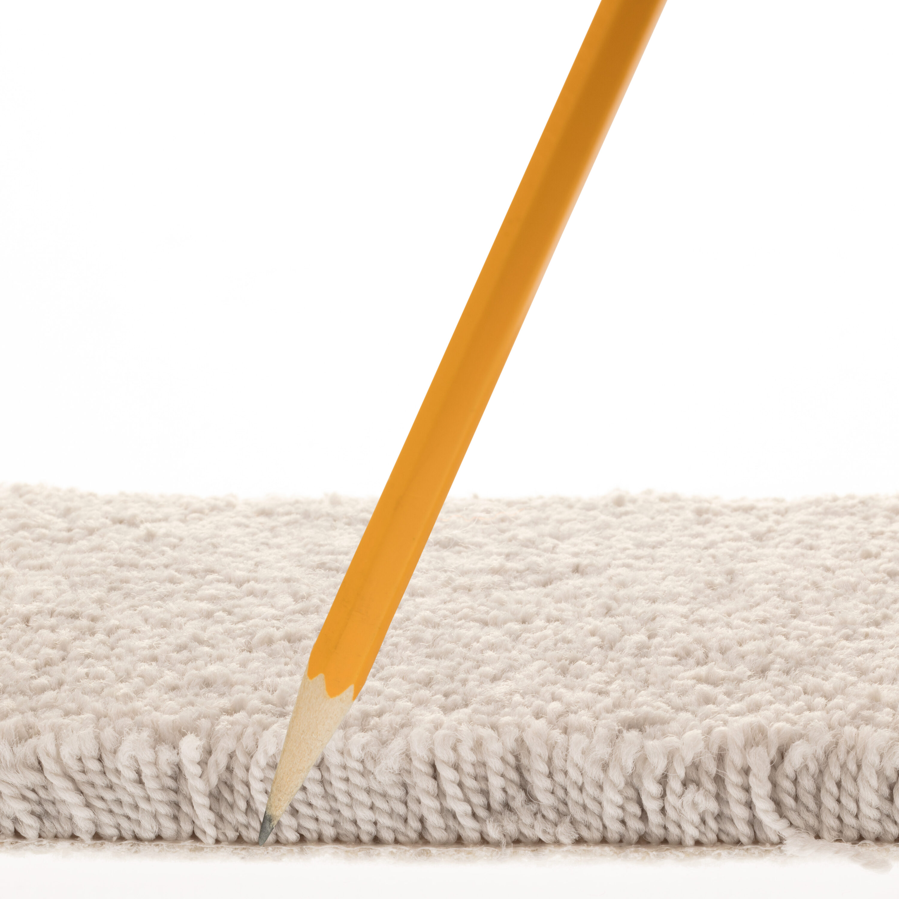 STAINMASTER PetProtect 7L893 - 550 - SAMP Carpet-Samples - View #7