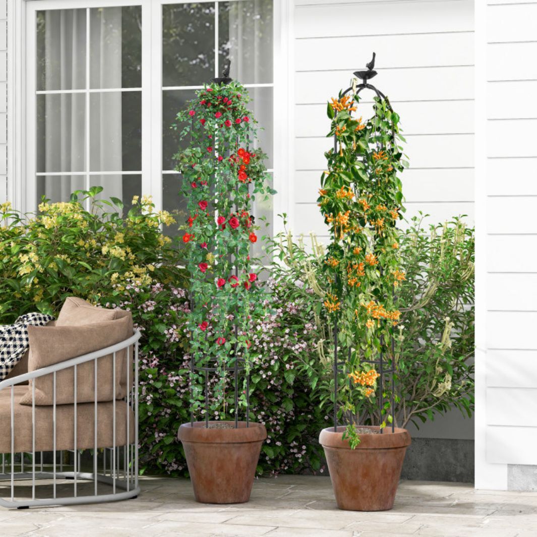 AHIOU HOME ZAAHD-HGTY4AGT Garden-Trellis - View #2