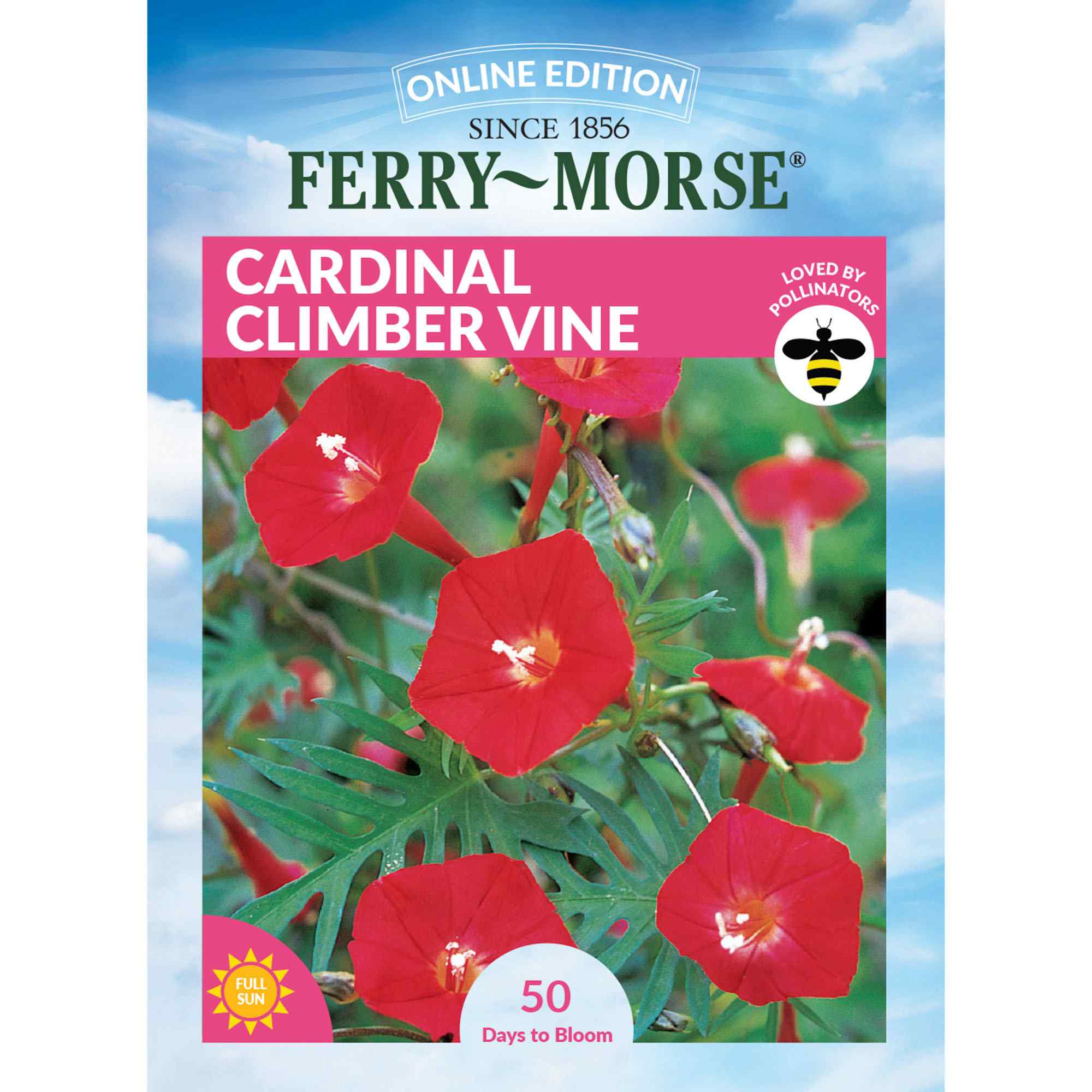Ferry-Morse LC25.5381 Cardinal Climber Seeds Gram(s)