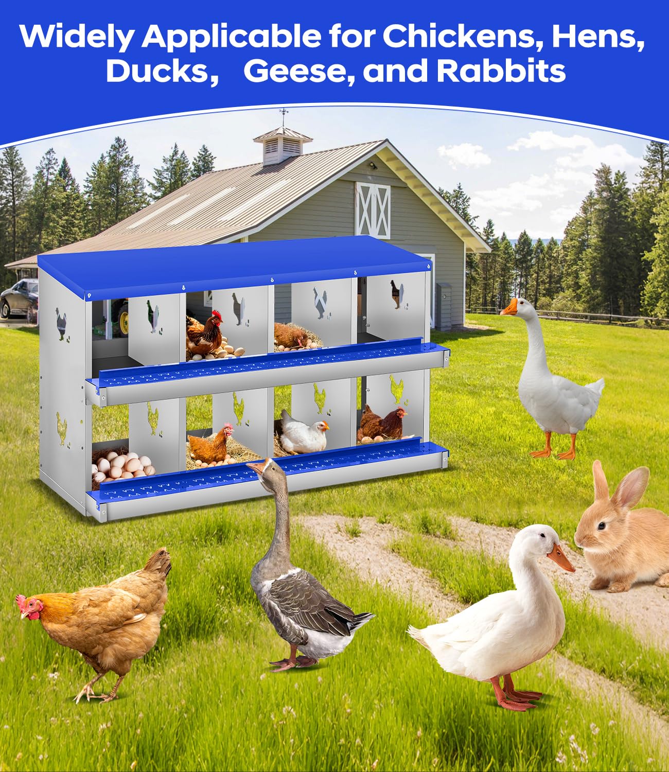 DEXSO N-PL-IZRKHS1DK8 Chicken-Coops-Rabbit-Hutches - View #5