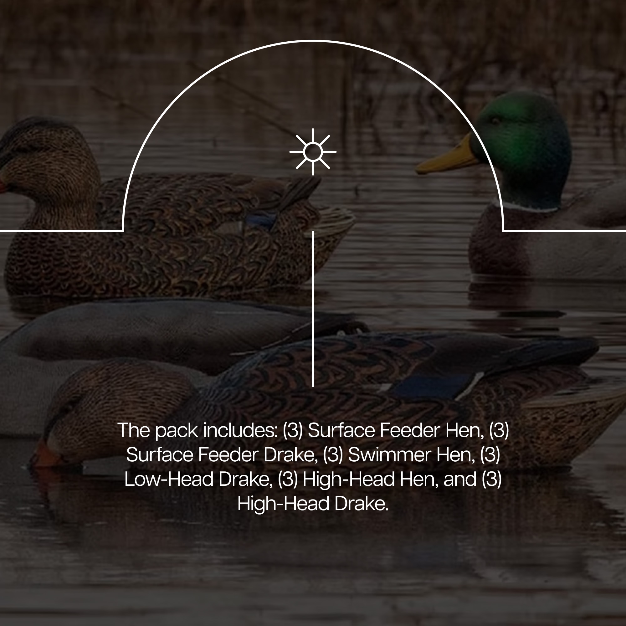  Avian X 408535 Hunting-Equipment - View #4