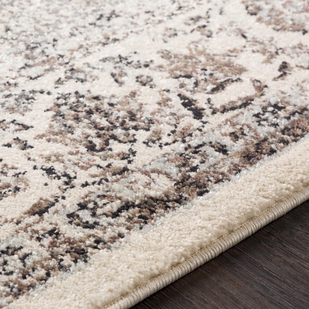 Surya CSA2305-710103 rugs - View #5