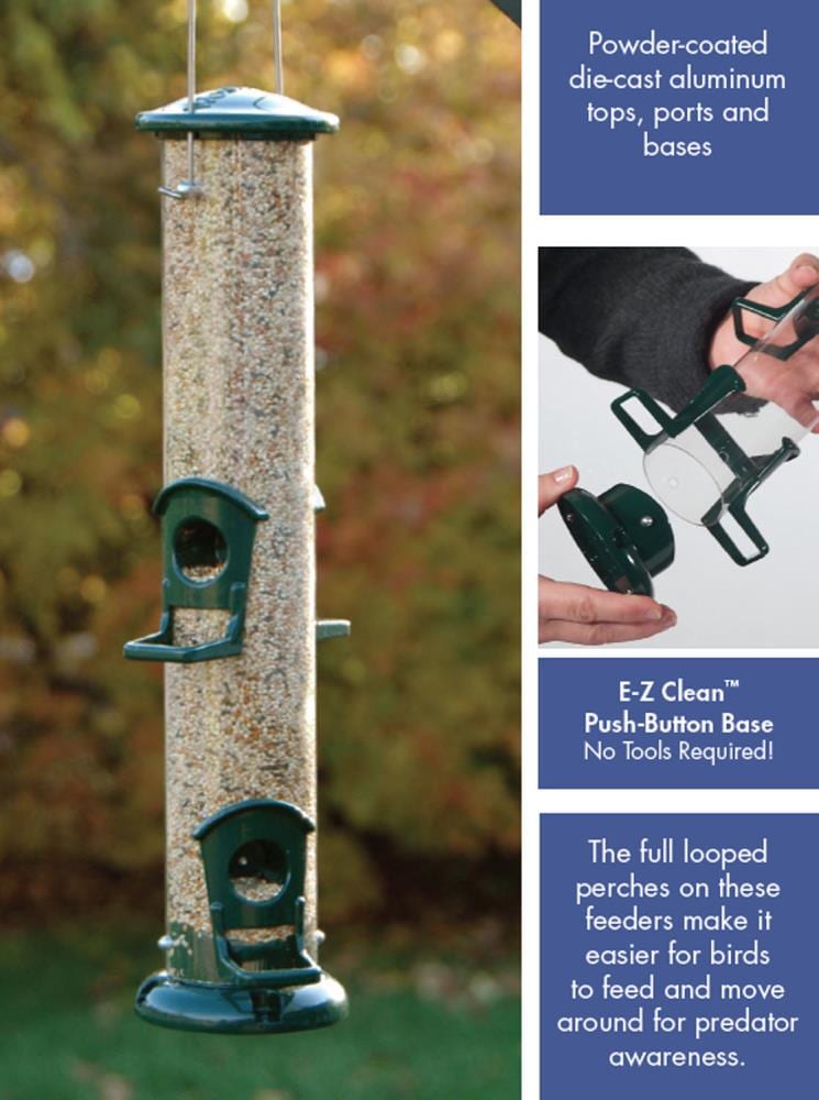 Woodlink Metal Hanging Tube Bird Feeder- 1-lb 24571 at Lowes.com