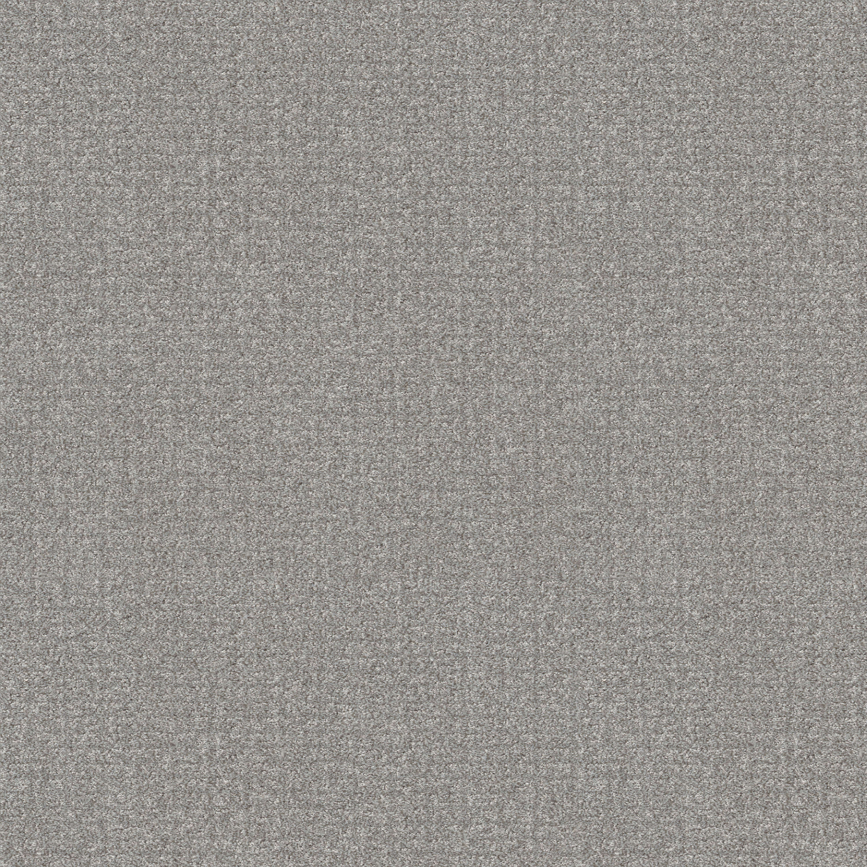STAINMASTER 7L888 - 504 - SAMP (Sample) Scenic Route Grey Fox Gray 43.9-oz sq yard Polyester Pattern Indoor Carpet