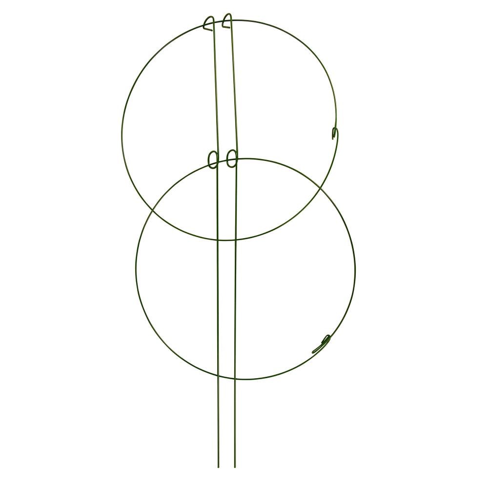 Gardener's Blue Ribbon DRPS1836 36-in Green Metal Double ring Plant prop