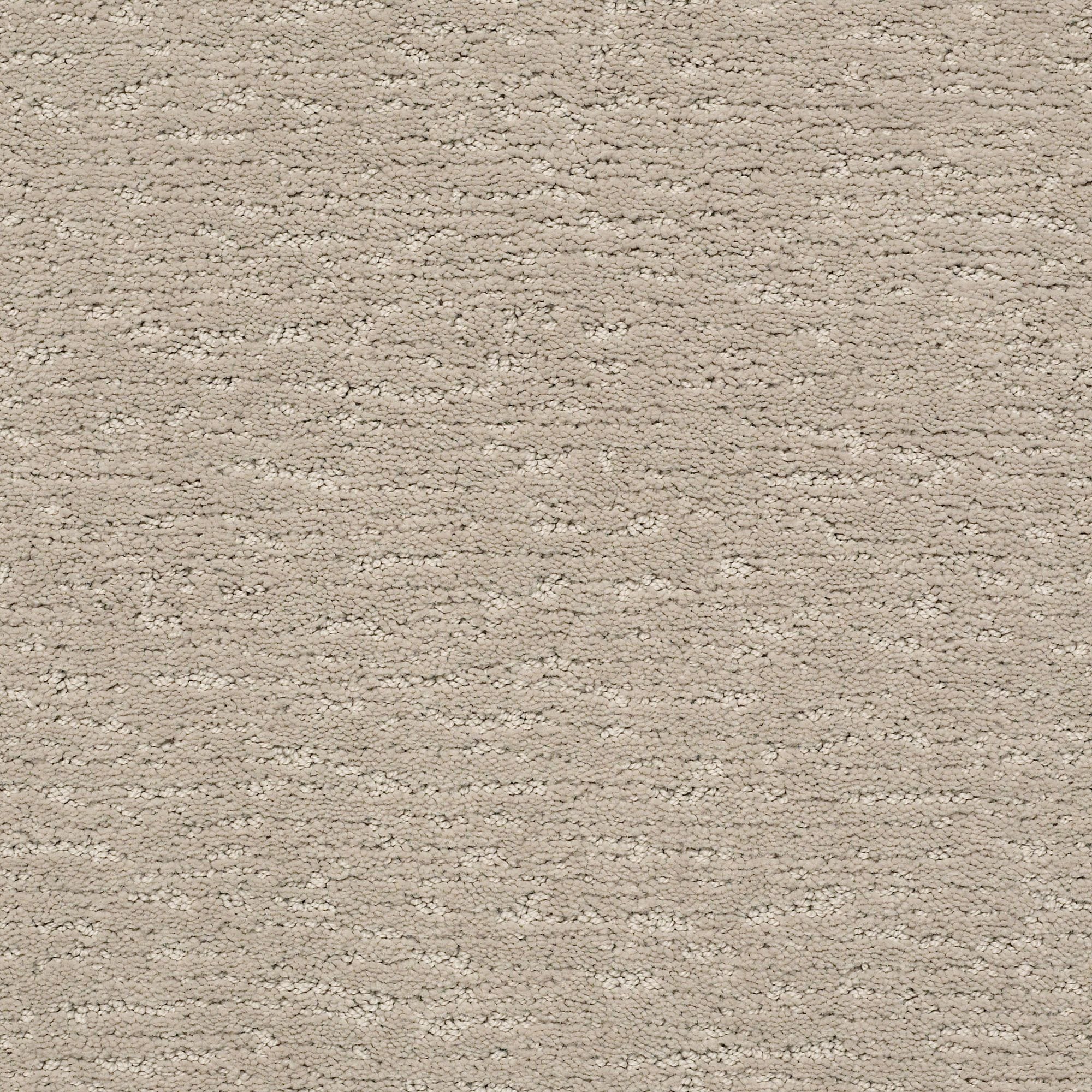 STAINMASTER PetProtect 7L902 - 511 - SAMP (Sample) Always There Inner Balance Gray 35.1-oz sq yard Nylon Multi-level loop Indoor Carpet