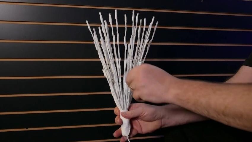 A thumbnail for the video