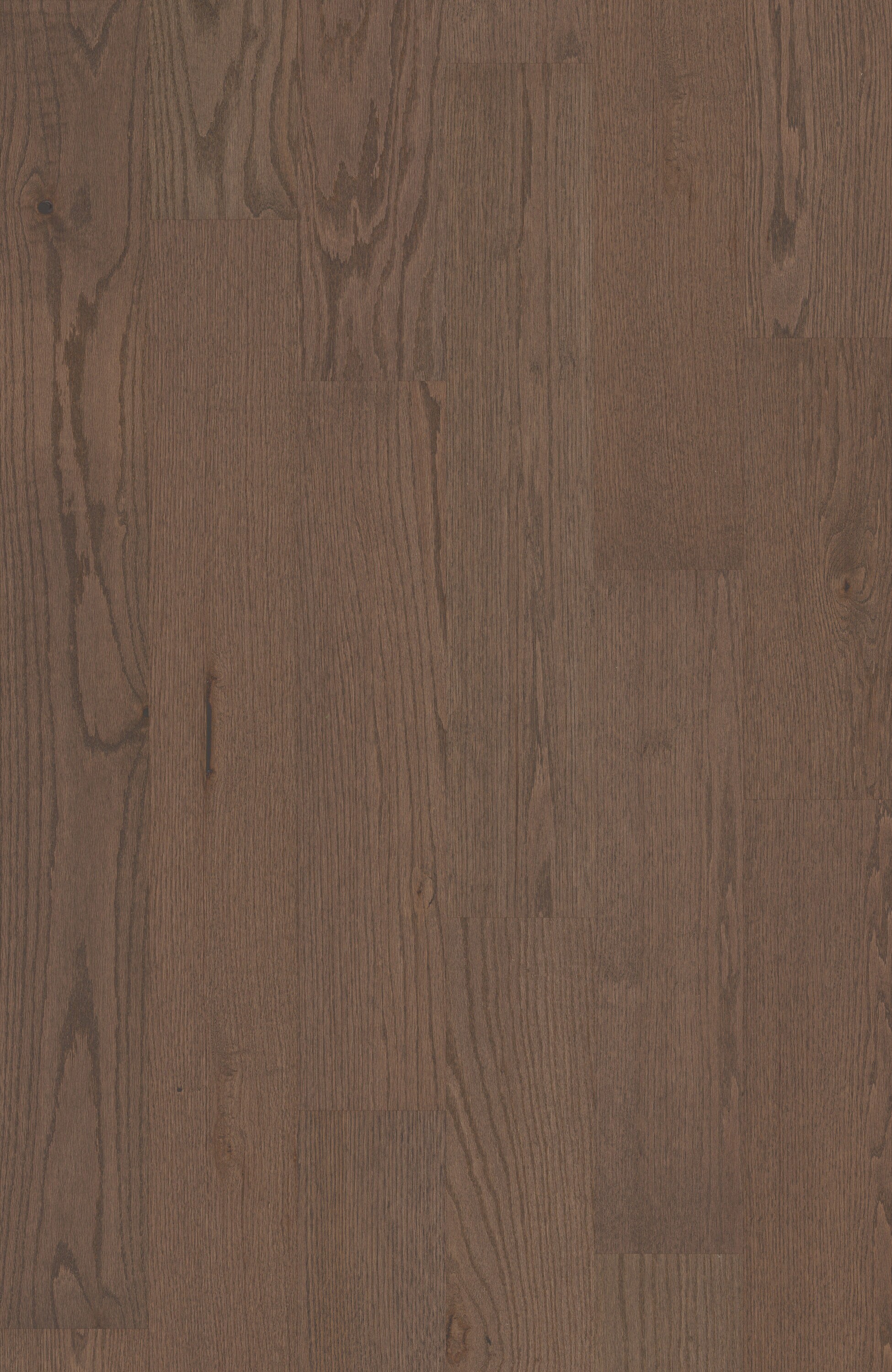 Shaw LX76407079 Wood-Floors - View #7