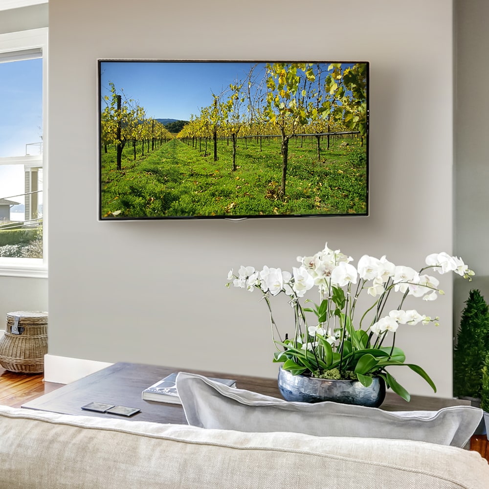 Sanus MLF13B1 Tv-Mounts - View #2