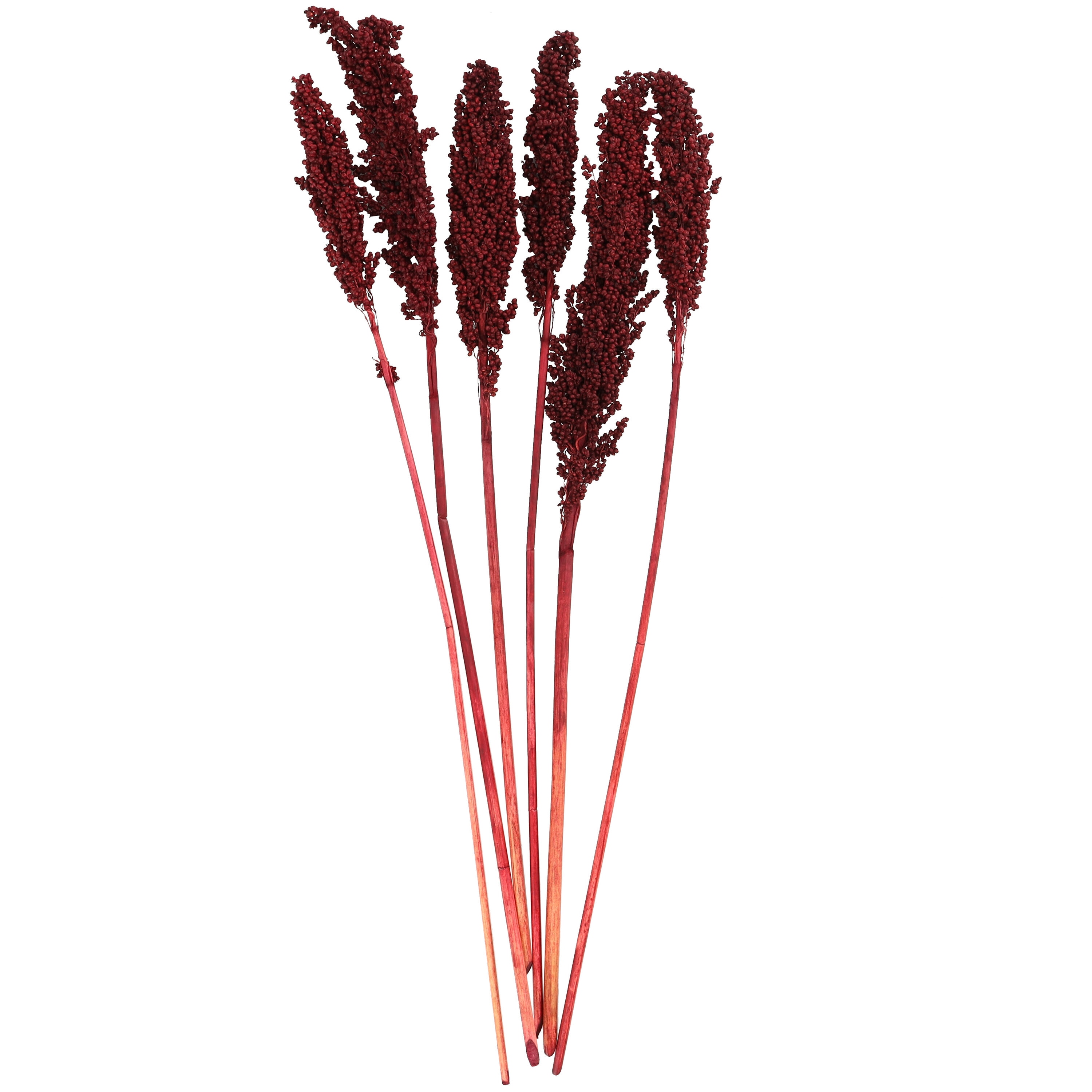 Grayson Lane 30-in Red with Long Stems Indoor Dried Bouquet Artificial ...