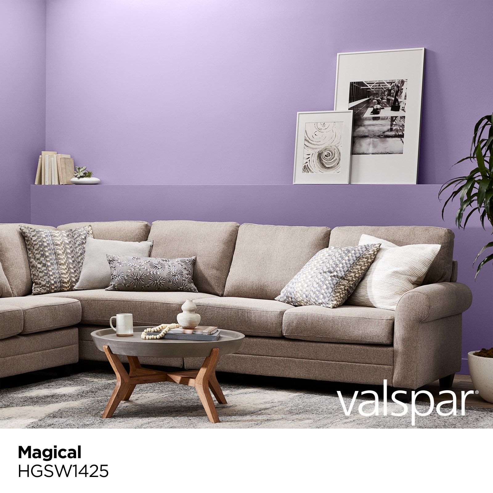 Valspar HGSW1425-26725 Int-Ext-Paint - View #2