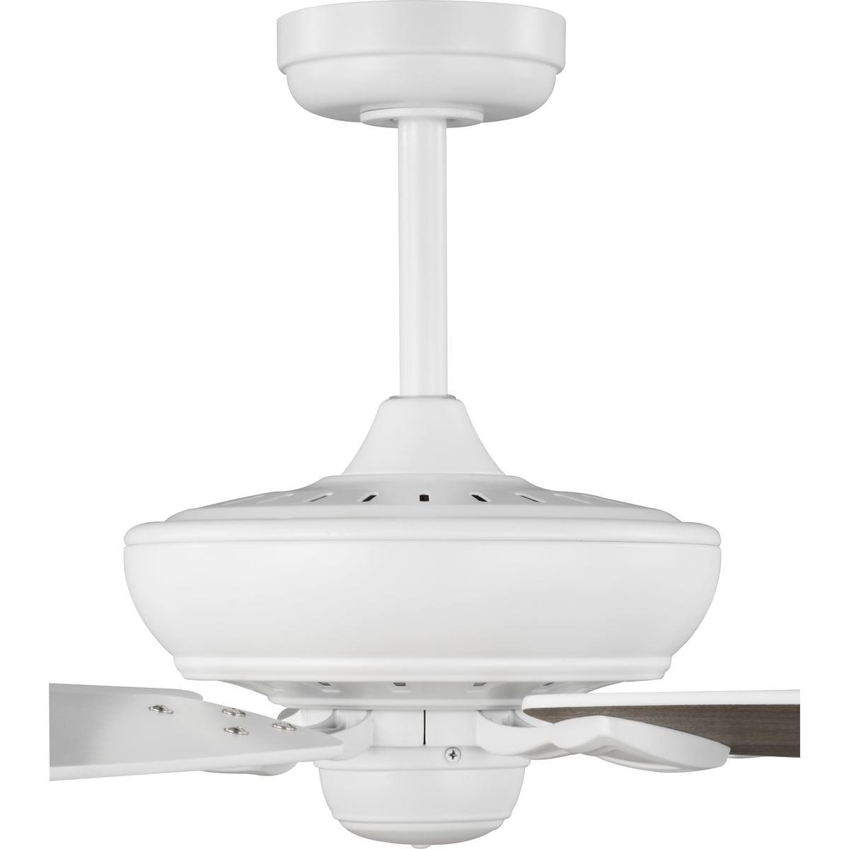 Progress Lighting P250070-028 Ceiling-Fans - View #4