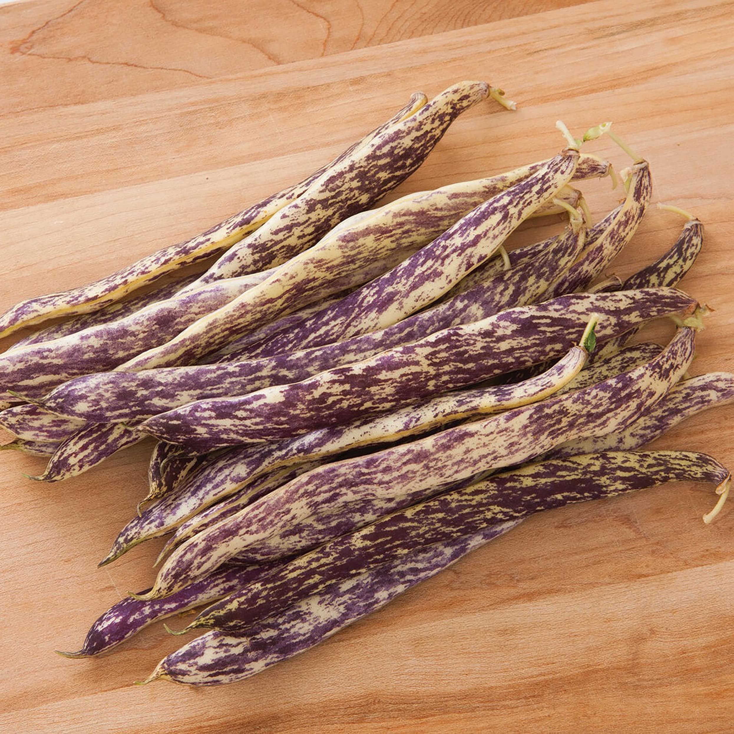 Proven Winners VEGPRW3007504 White Bean Plant in 4.25 Inch(es) Pot