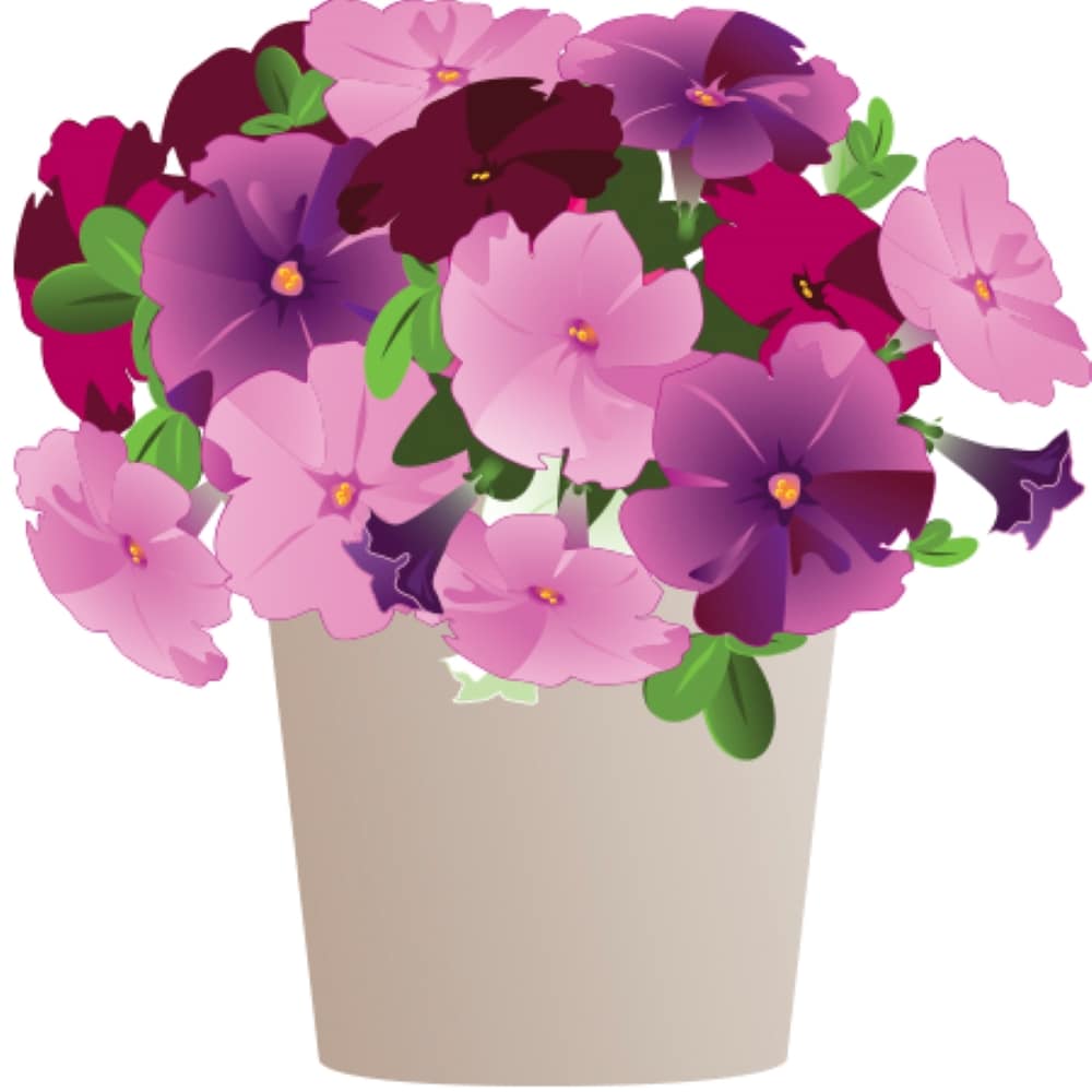 1.00-GAL CALIBRACHOA COLOR PAN in the Annuals department at Lowes.com