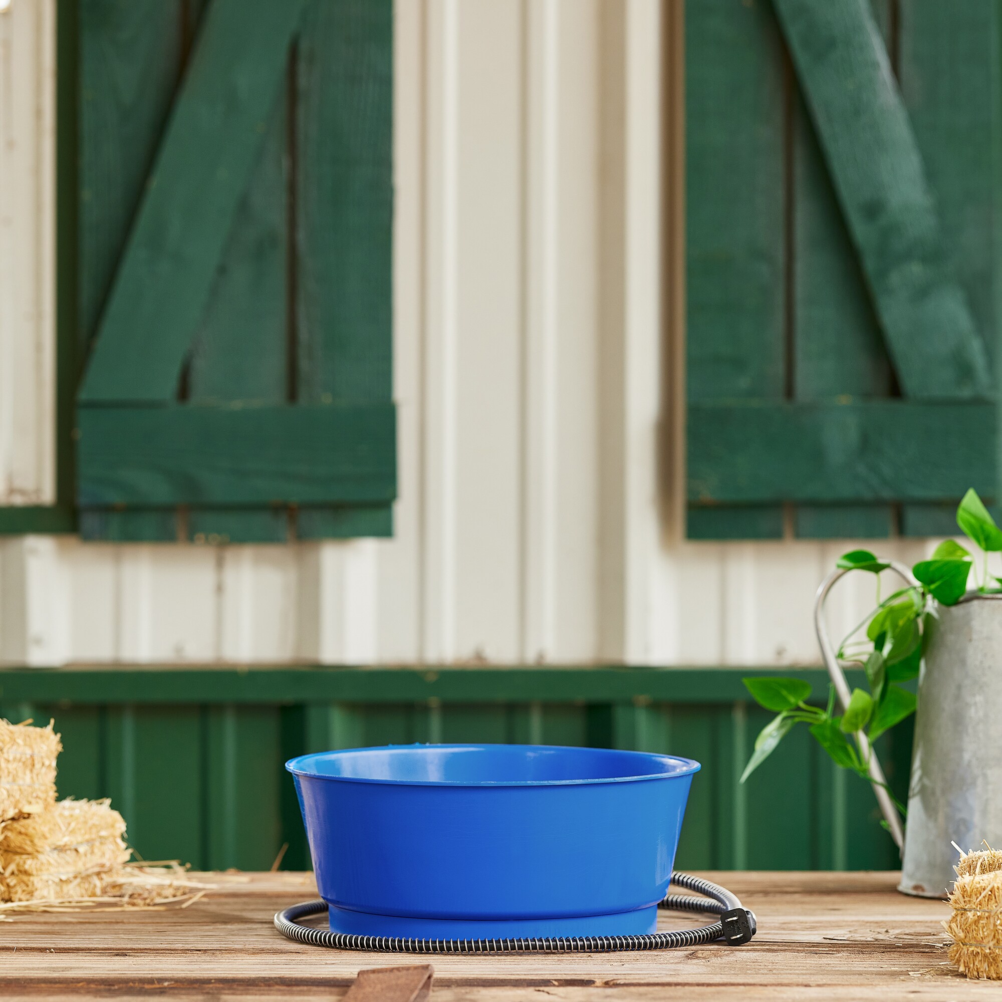 Farm Innovators R-19A Pet-Feeder - View #6