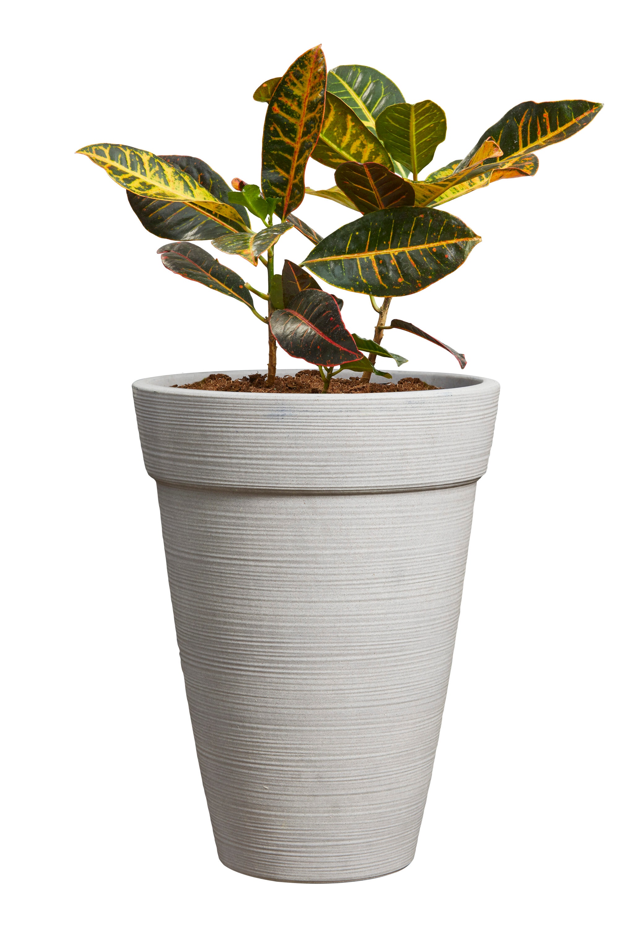 allen + roth US630594 Planter-Window-Box - View #8