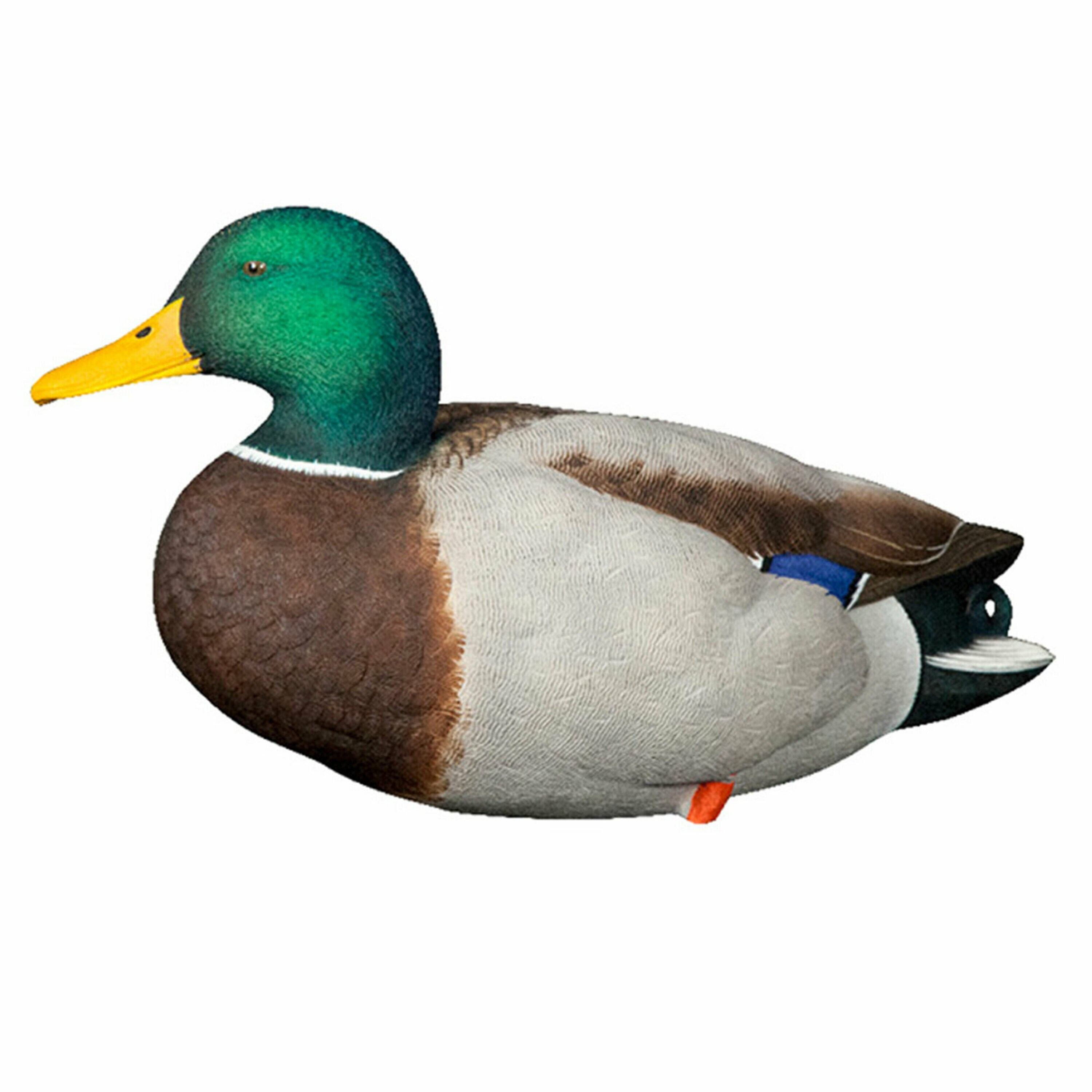  Avian X 408530 Hunting-Equipment - View #8