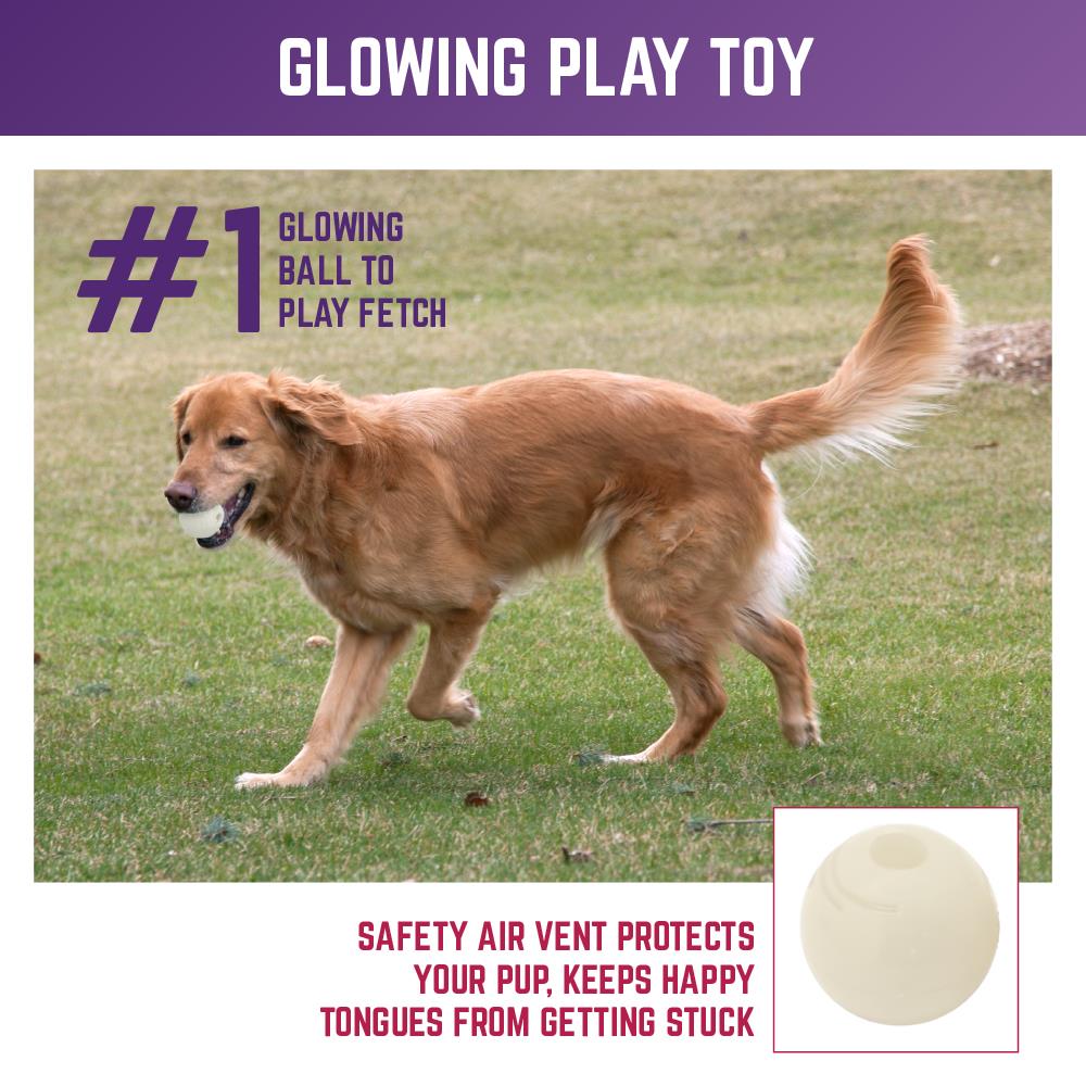 Chew King CM-0289-CS01 Dog-Toys - View #5