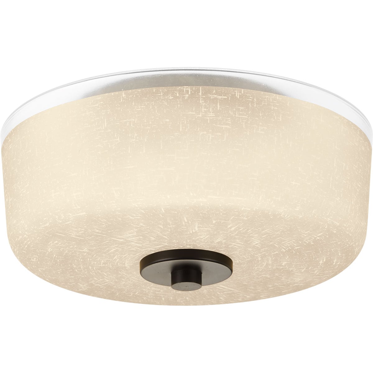 alexa flush mount ceiling light