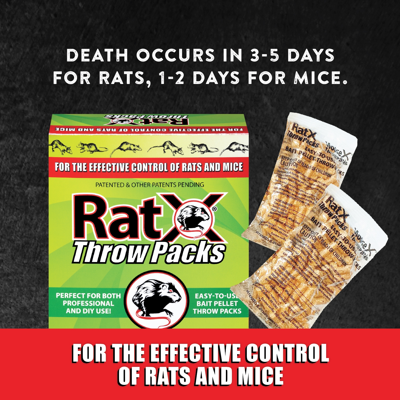 RatX 620103 Animal-Rodent-Control - View #4