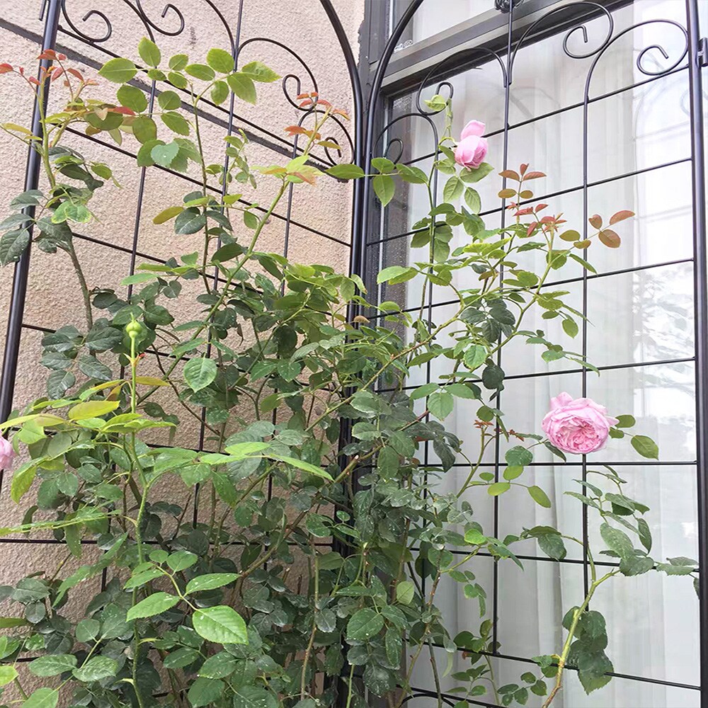 ZAKLOOP XU158681069 Garden-Trellis - View #8