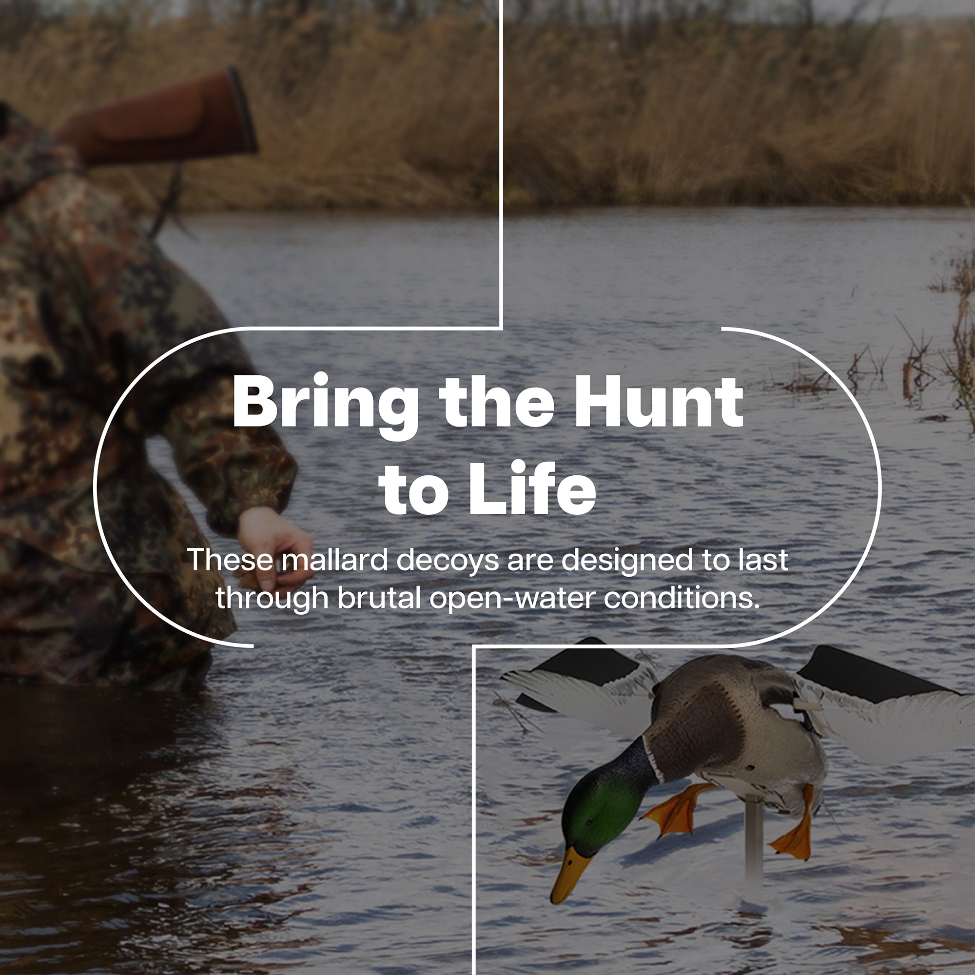  Avian X 399290 Hunting-Equipment - View #2