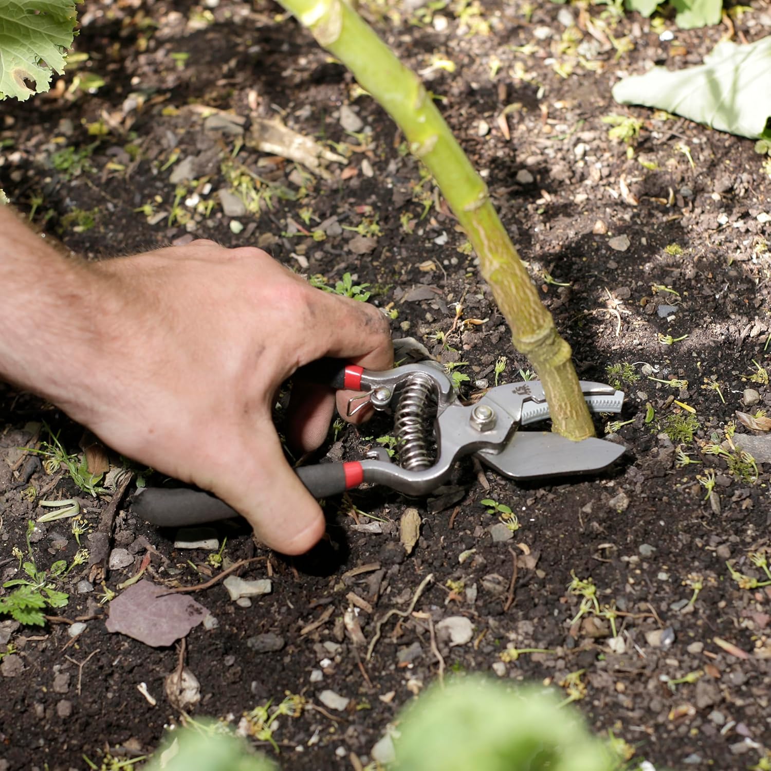 Lehman's CUTTINGSET8 Hand-Pruners - View #2