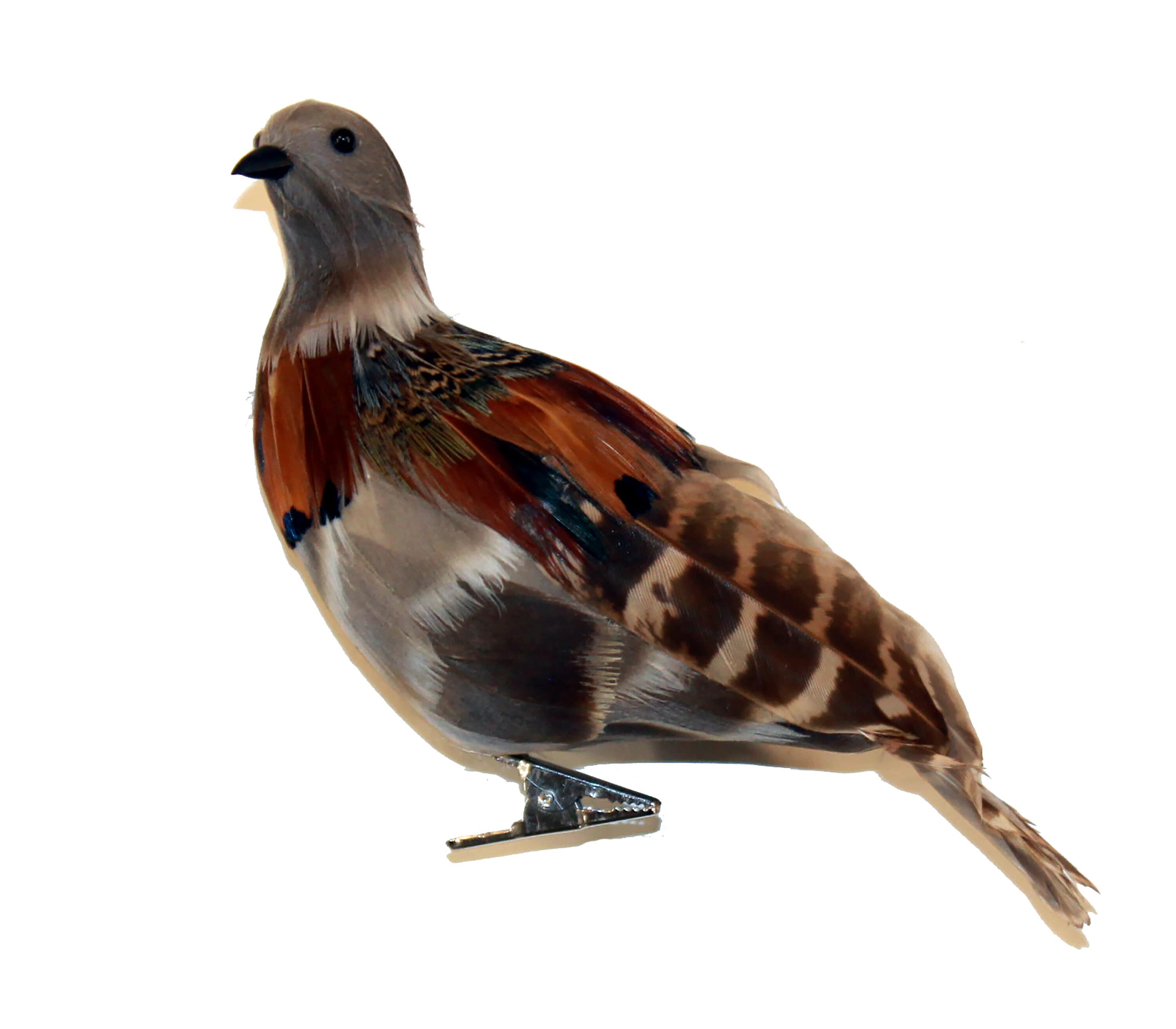 Worth Imports 9238 2 -Pack Brown Bird Standard Indoor Clip