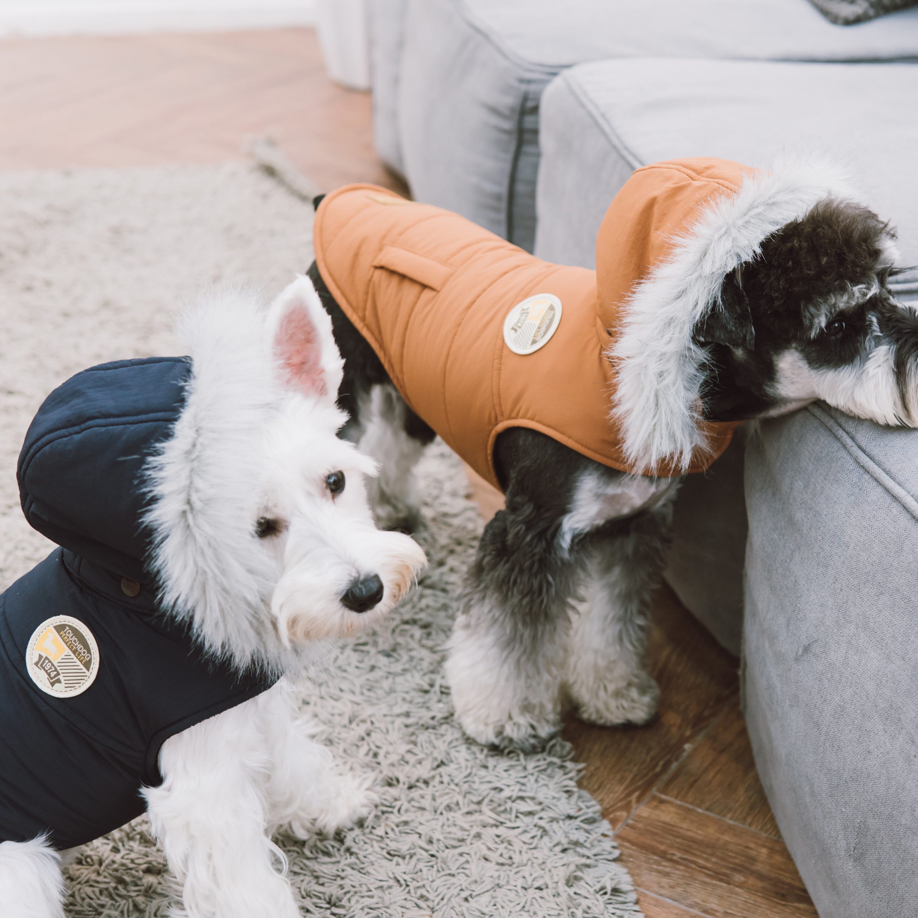 Swag best sale dog apparel