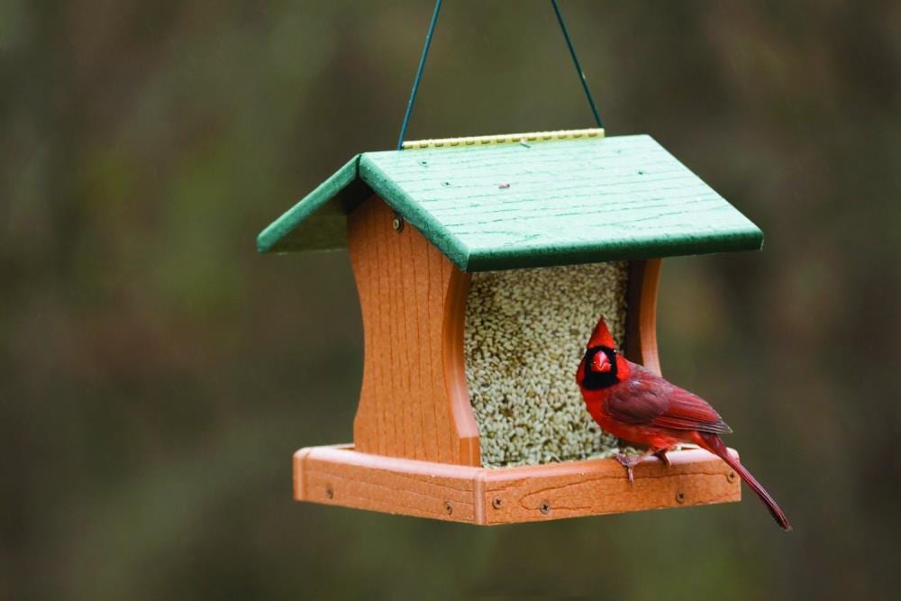 Green and Brown Recycled Plastic Hanging Hopper Bird Feeder