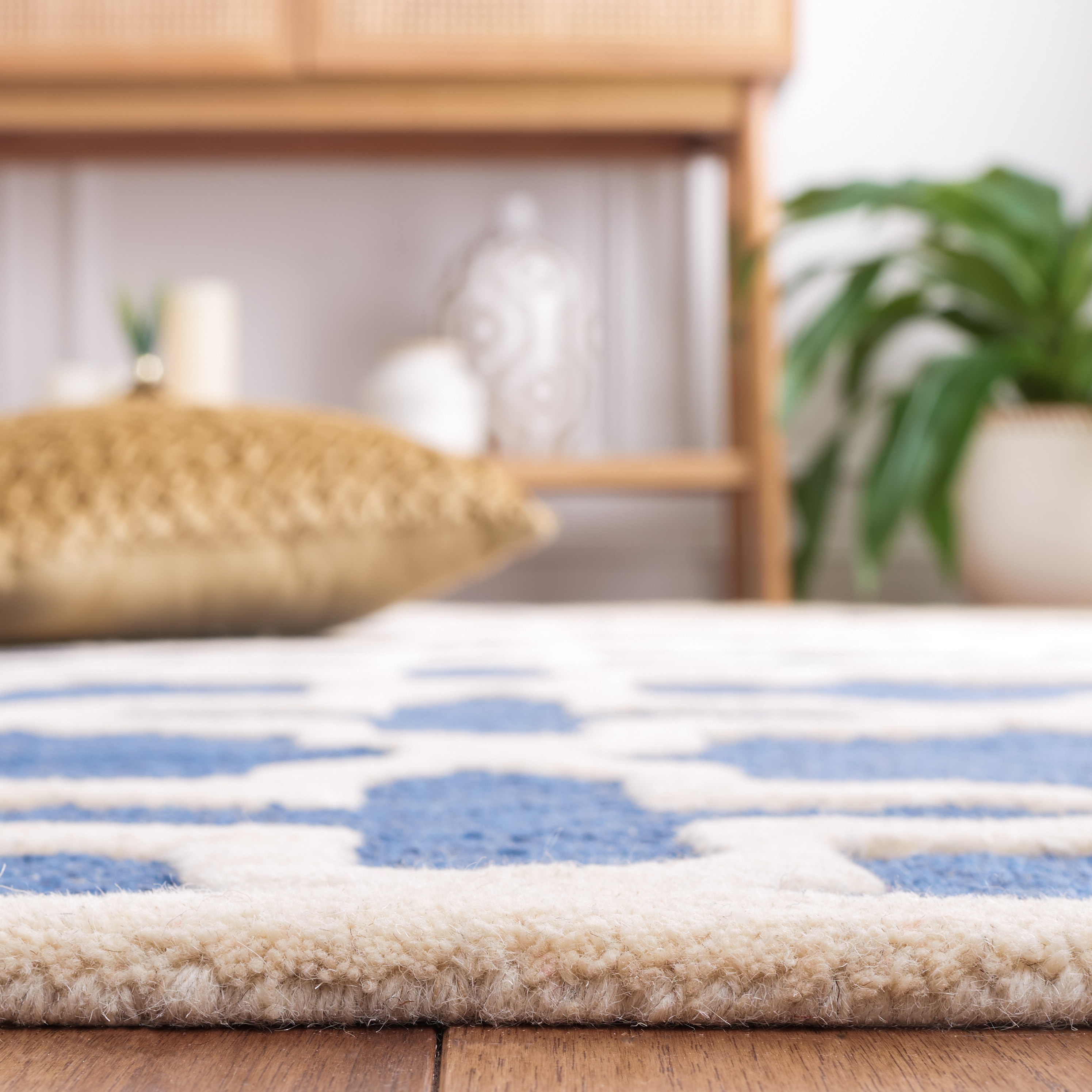 Safavieh CAM125G-4 rugs - View #4