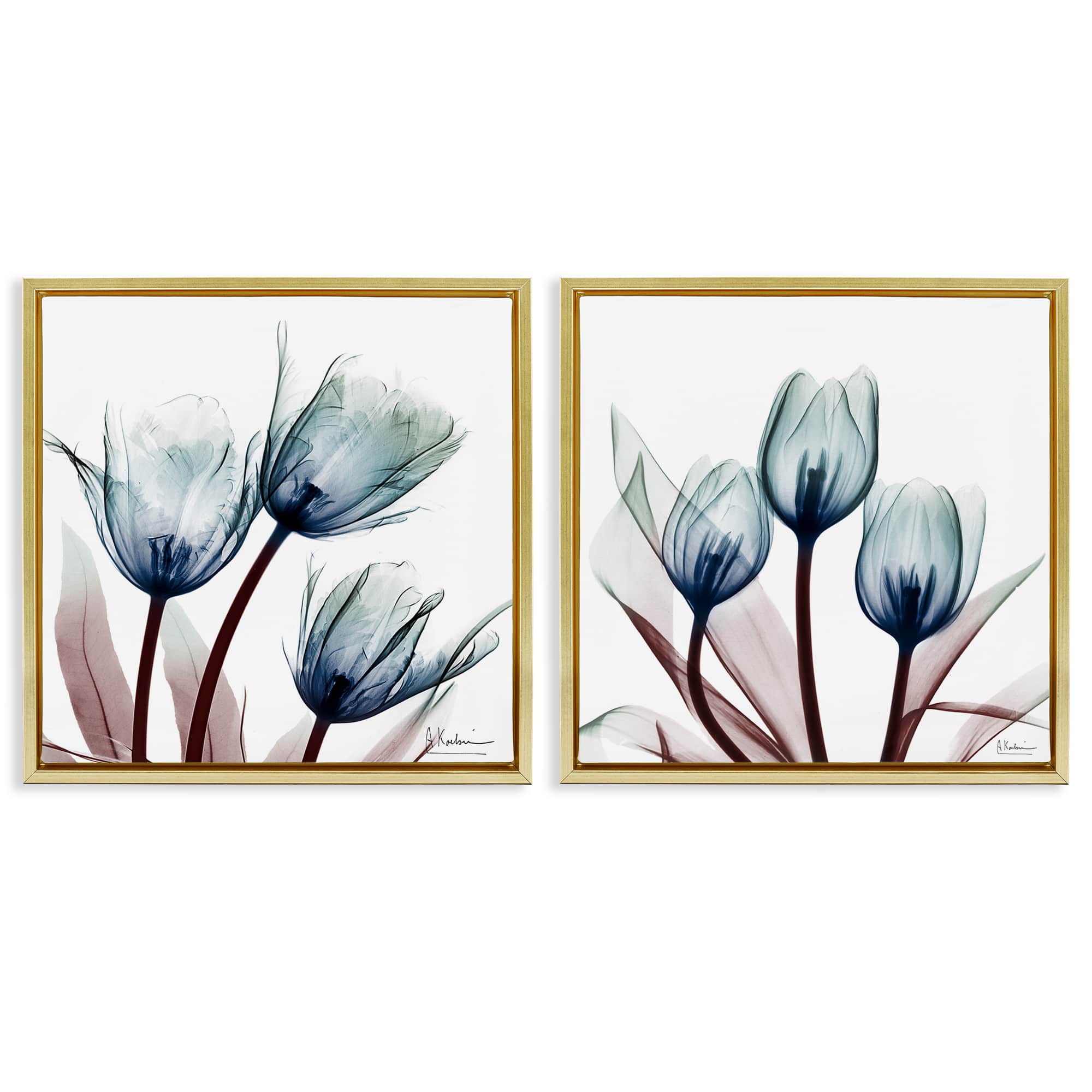 Stupell Industries B2-707-FFG-2PC-24X24 Vibrant Blue Tulips 2pc Floating Frame Set design by Albert Koetsier