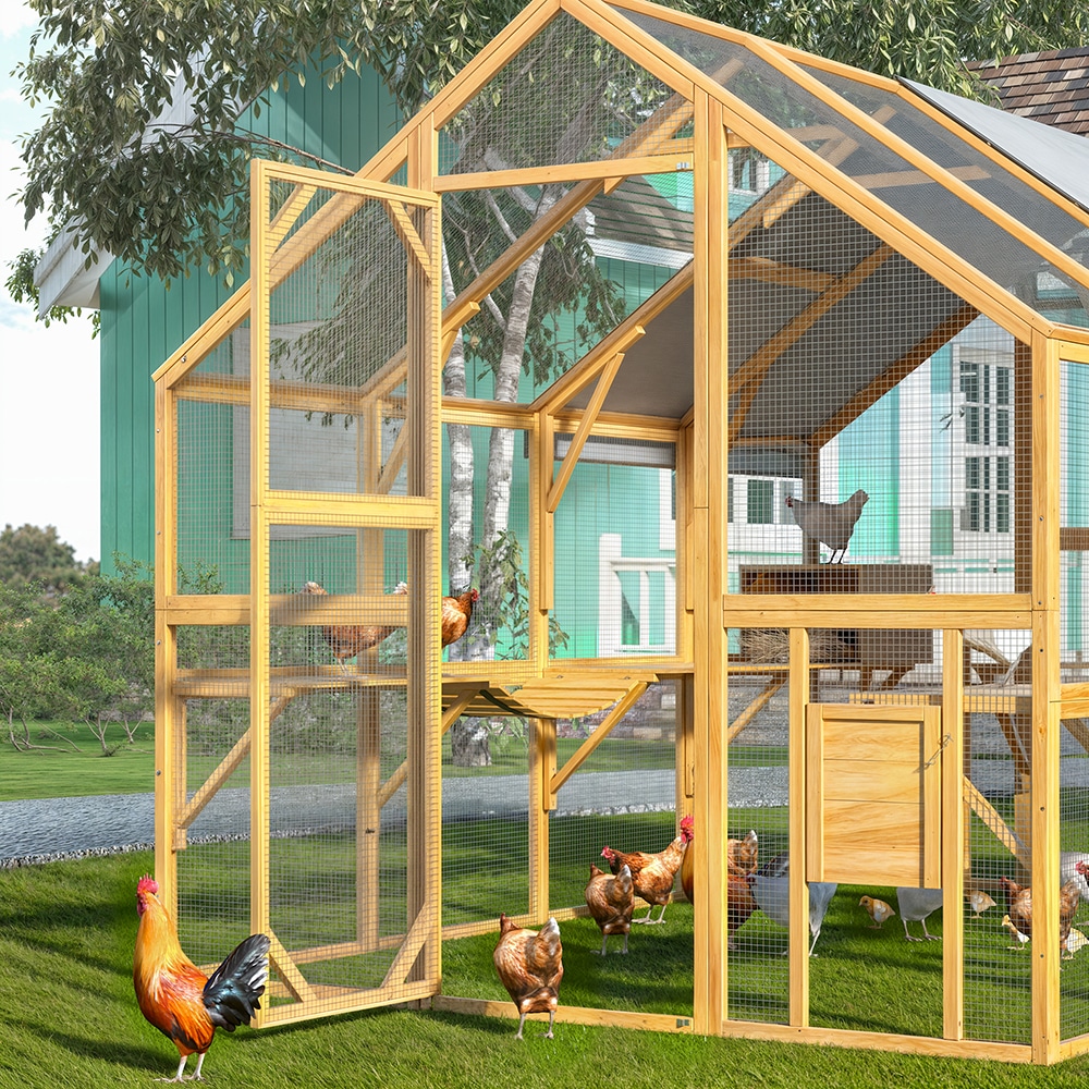Homsee C-KF150158-09-AB Chicken-Coops-Rabbit-Hutches - View #16